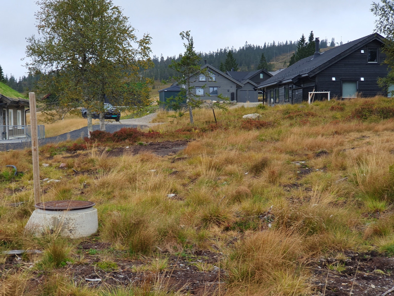Tomtebilde fra veien i retning øst. Galleribilde