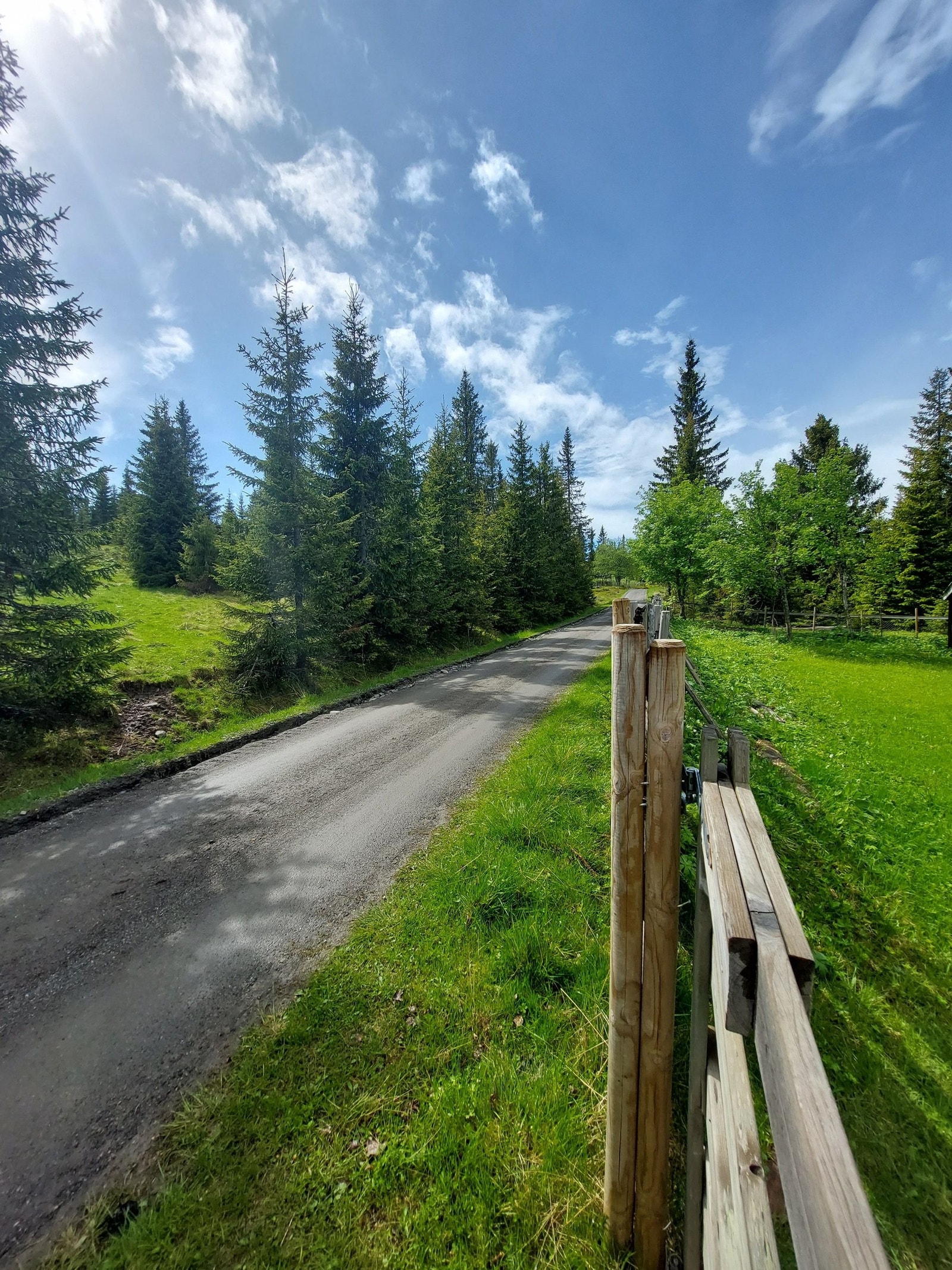 Omgivelser. Galleribilde