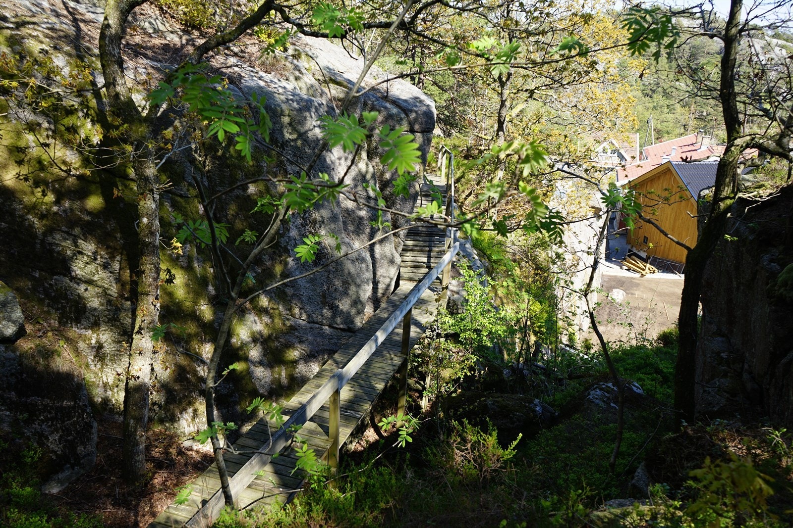 Sti til badeplass Galleribilde