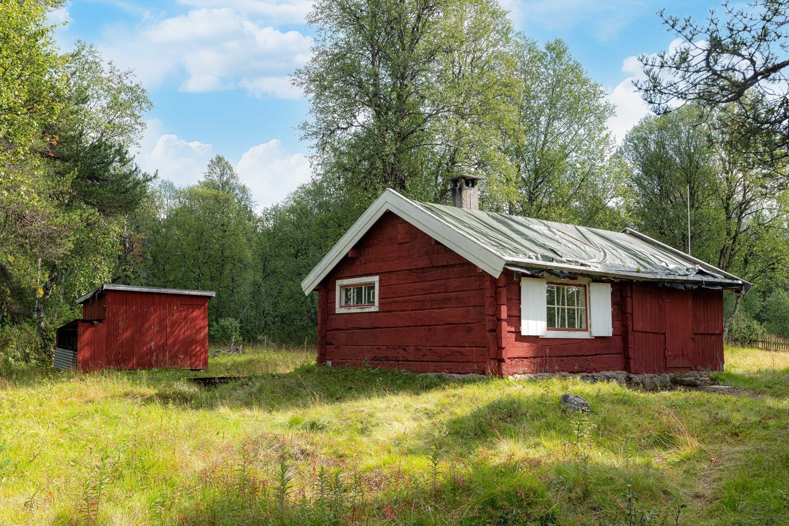 Den relativt flate tomta er opparbeidet med plen og naturlig vegetasjon med busker og trær. Galleribilde