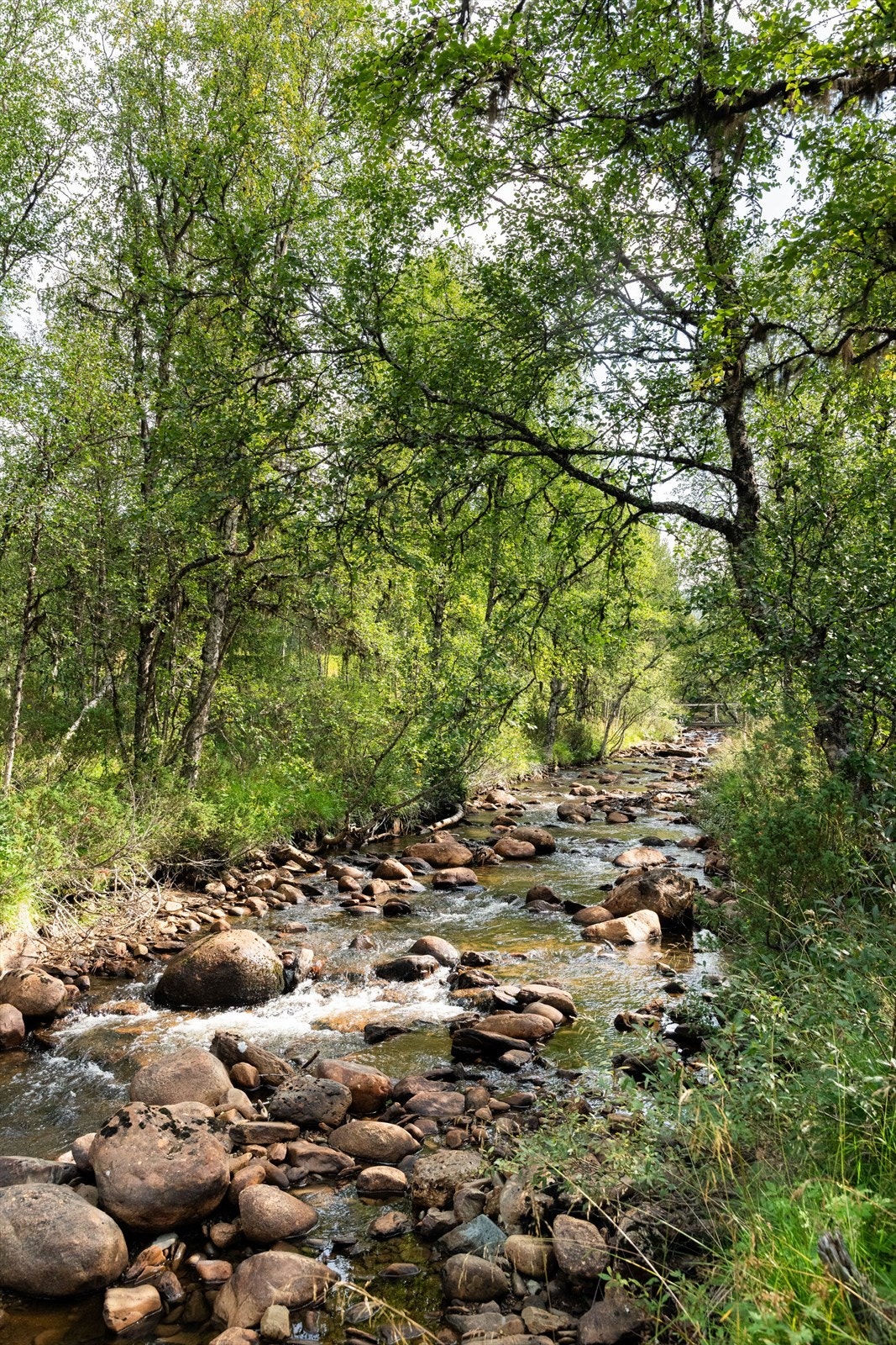 I nærheten sildrer det koselig fra en liten bekk. Galleribilde