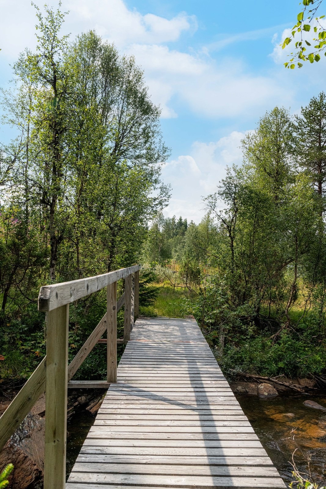 Nærområde! Galleribilde