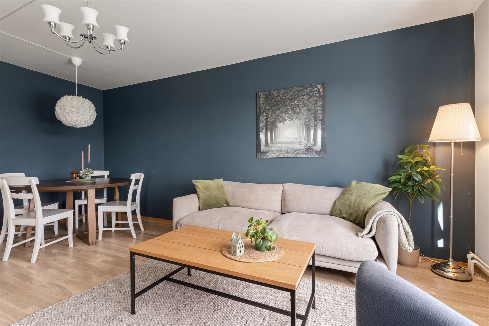 Her er mulighetene mange og valget ditt! Galleribilde