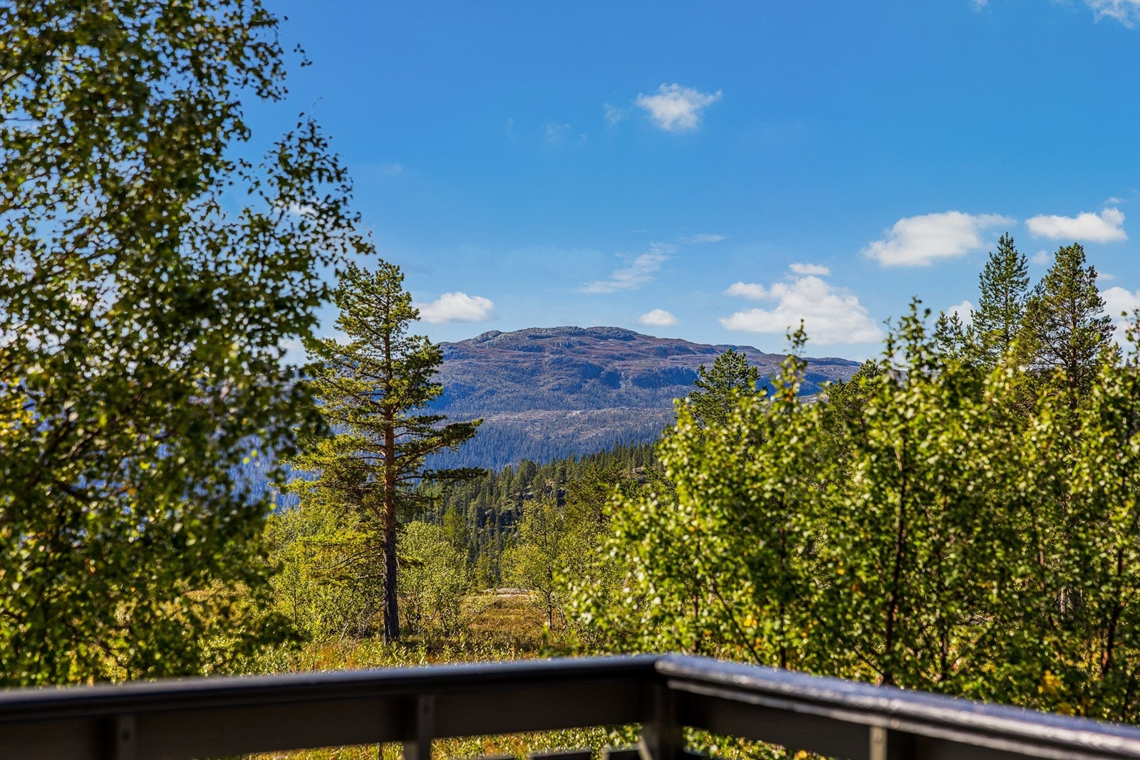 Utsikt fra sydvestvendt terrasse. Galleribilde