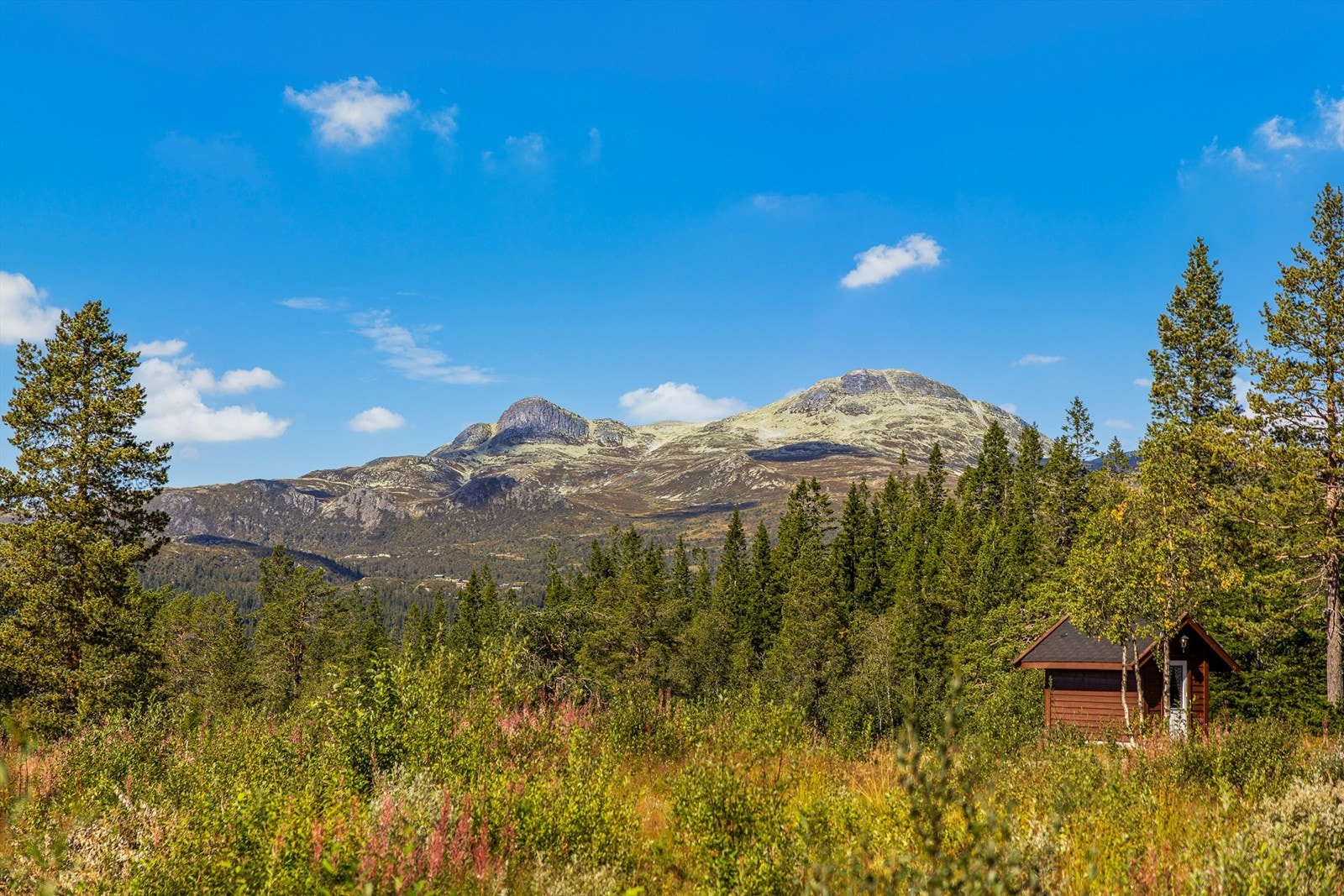 Utsikt mot Gaustaknærne. Galleribilde