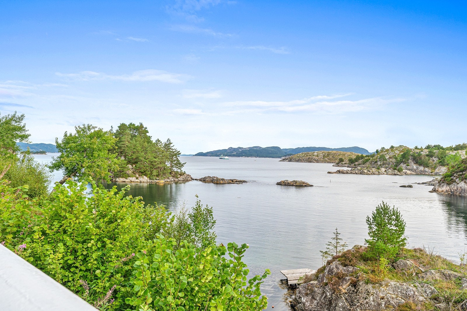 Flott utsikt. Galleribilde