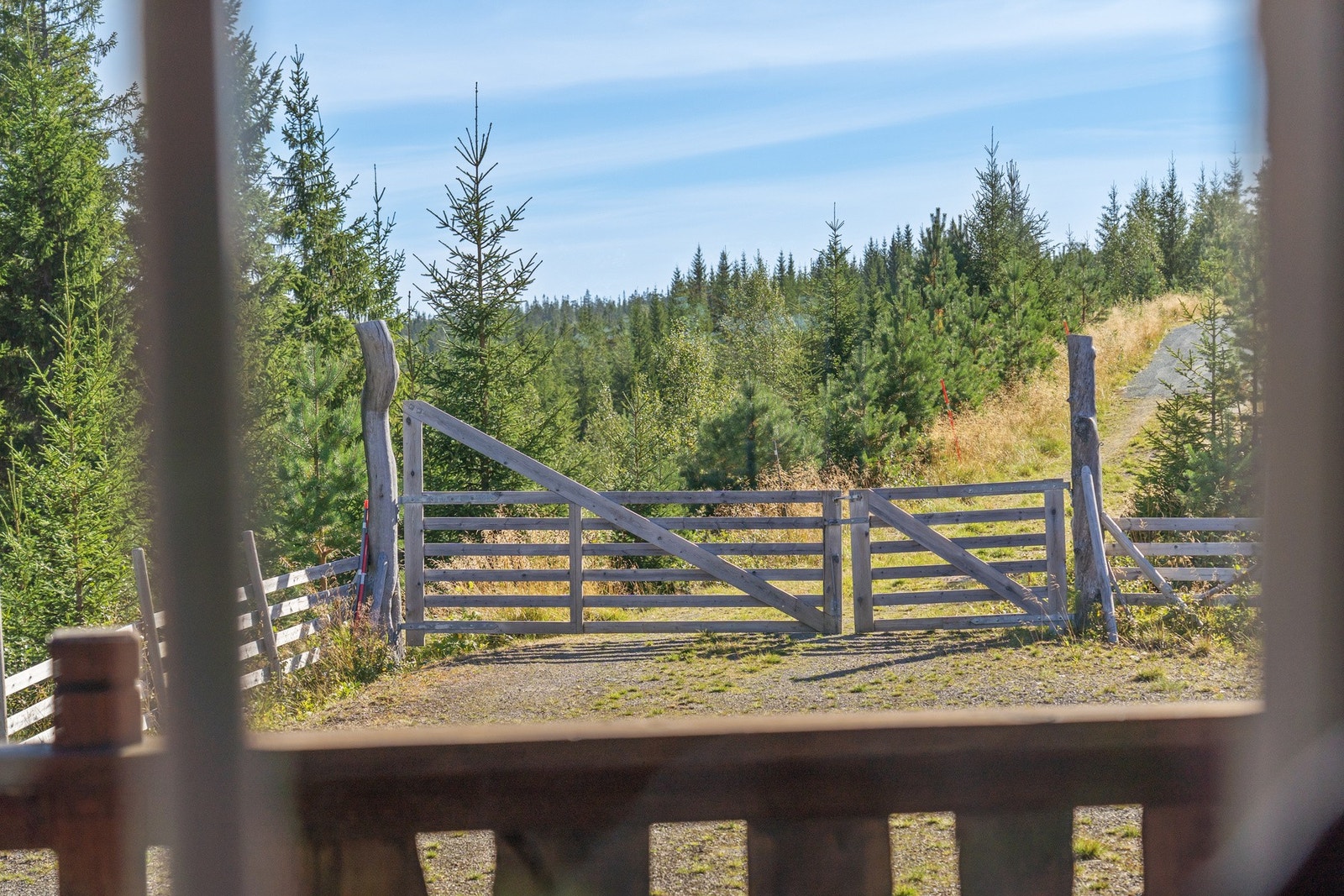 Kjøkken og utsikt Galleribilde