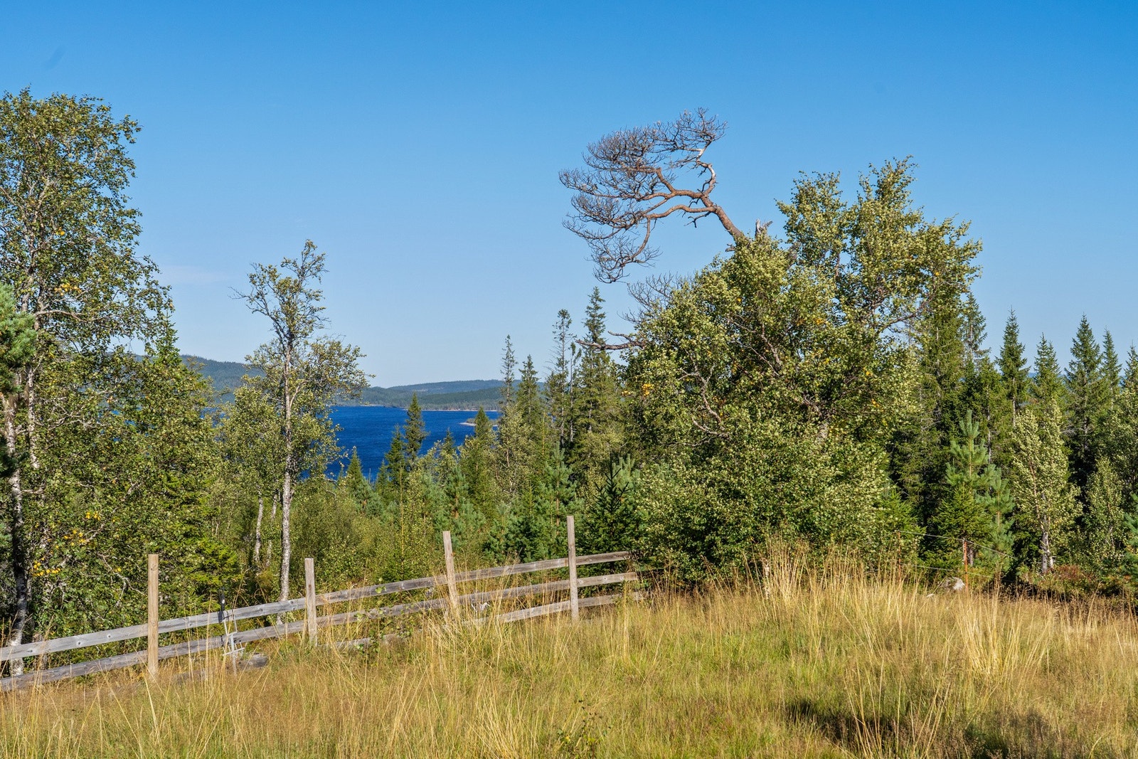 Eiendommen har gruset adkomst og gårdsplass, og byr på gode solforhold og nydelig utsikt mot Sørungen. Galleribilde