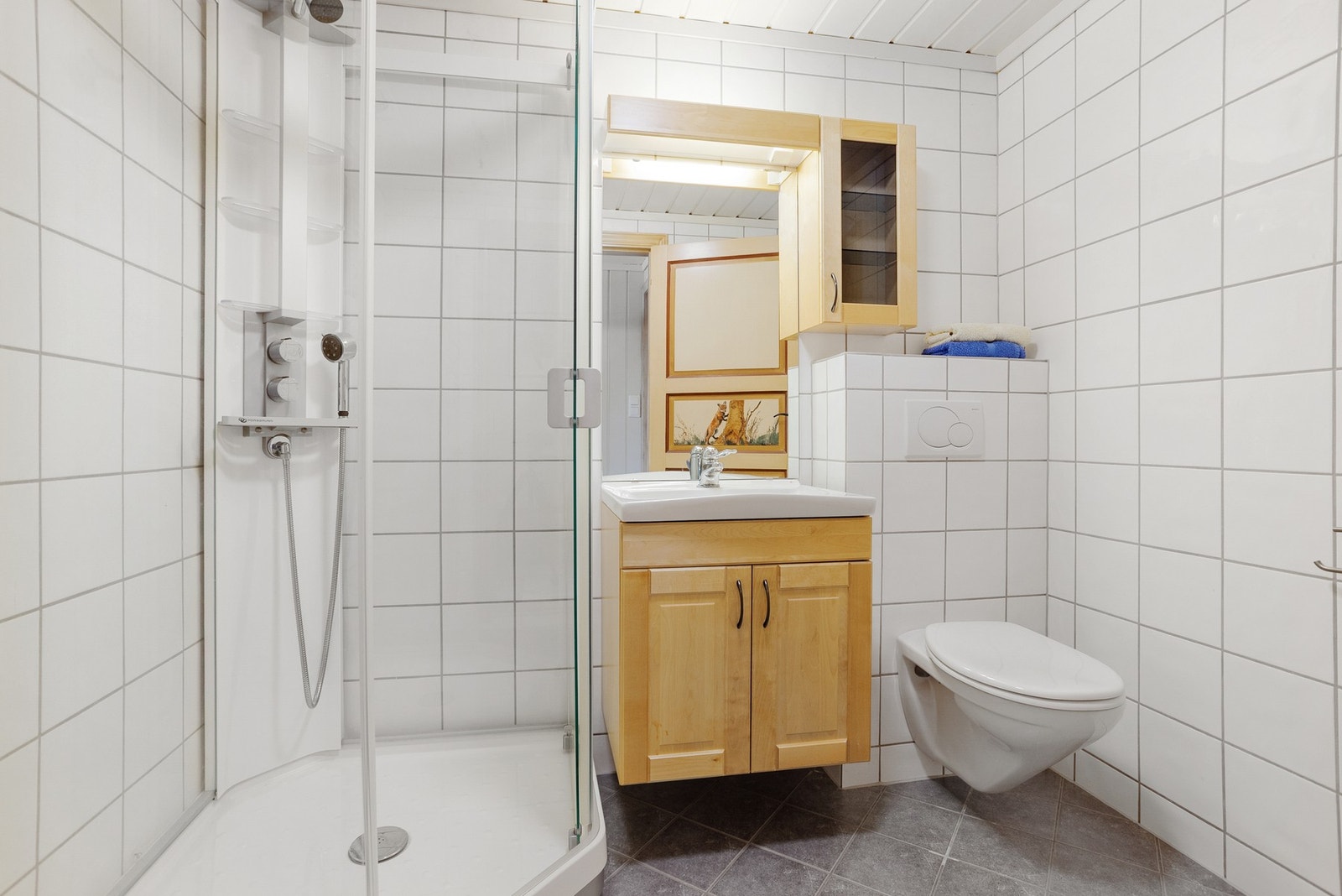 Baderom i underetasje. Her har du veggmontert toalett, innredning med servant og dusjkabinett Galleribilde