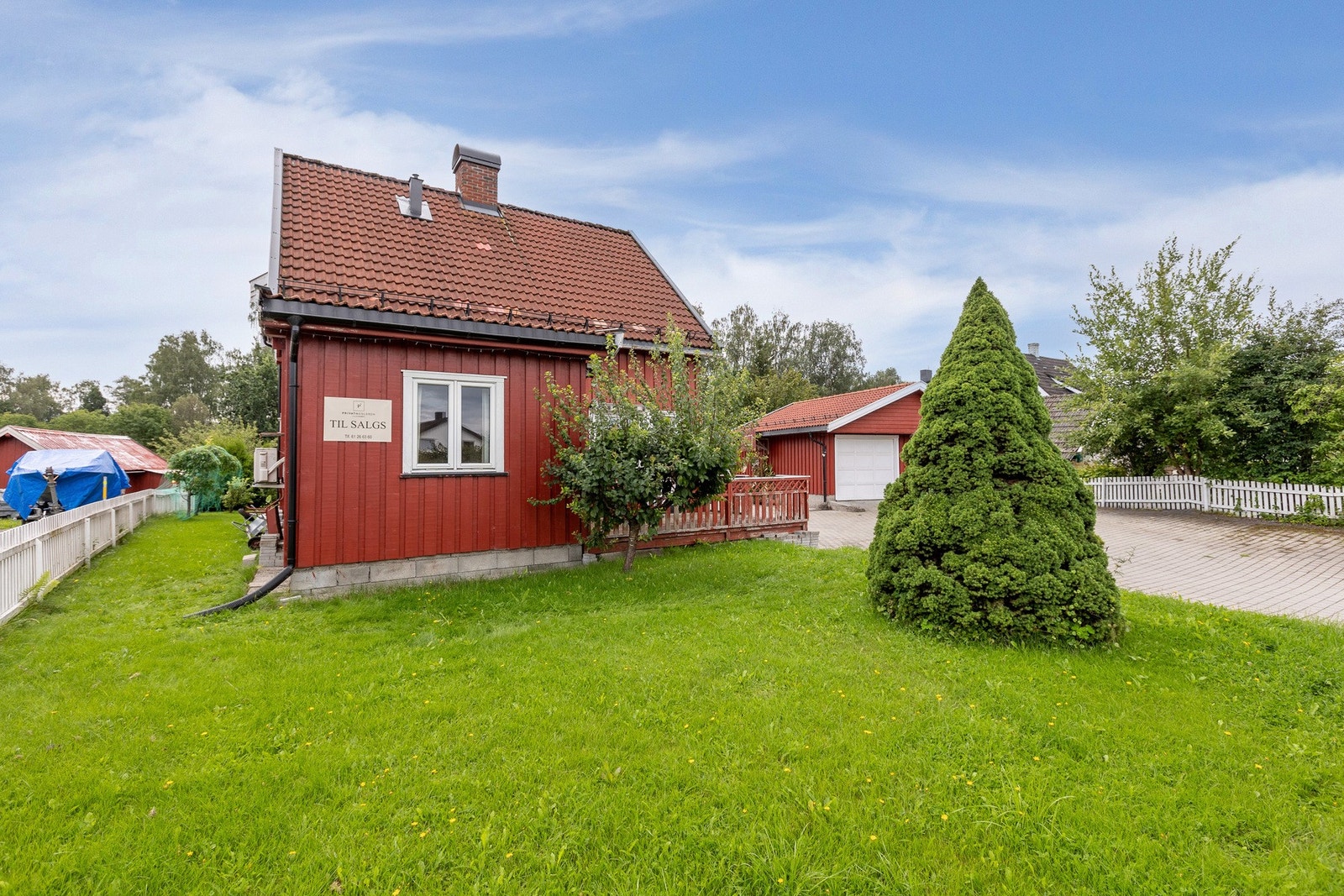 Solrik hage med plen og frukttrær. Galleribilde