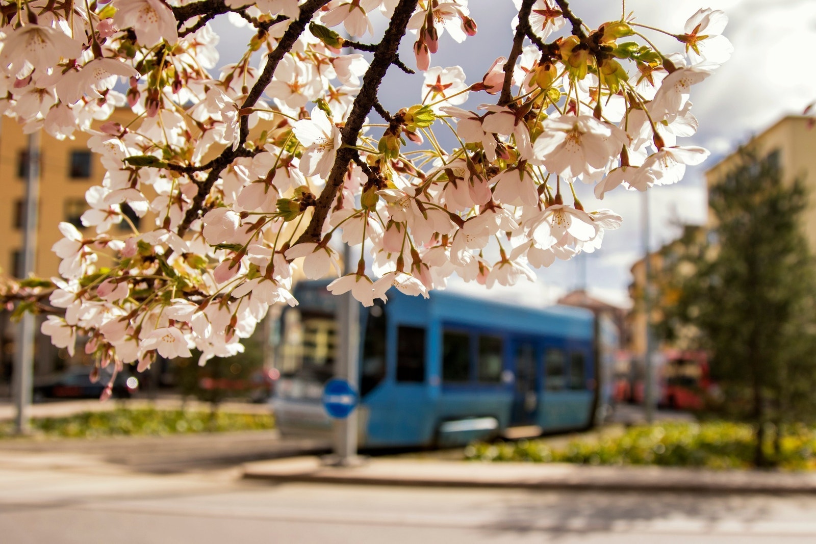 Nærområdet Galleribilde