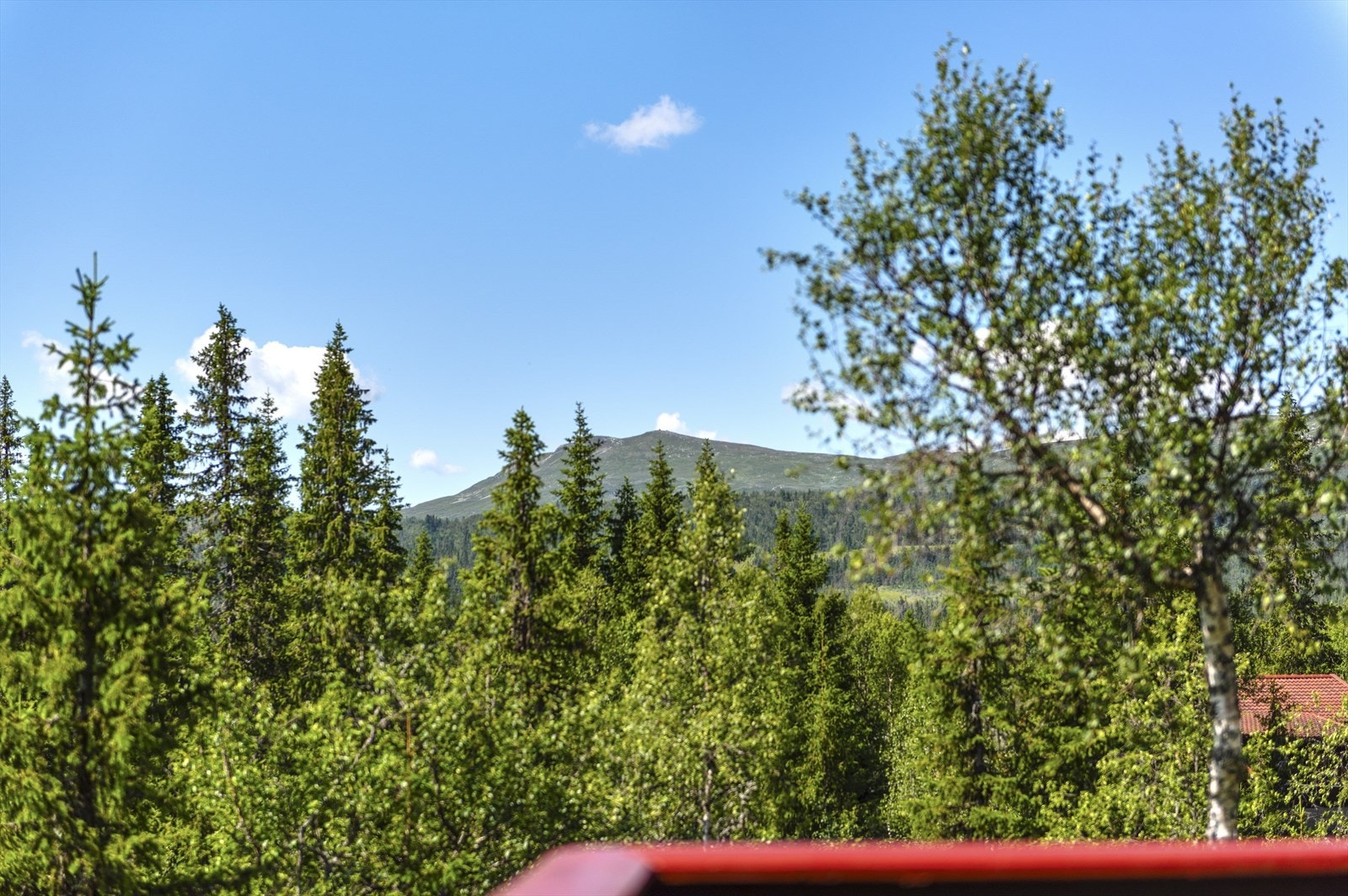 Utsikt fra verandaen. Galleribilde