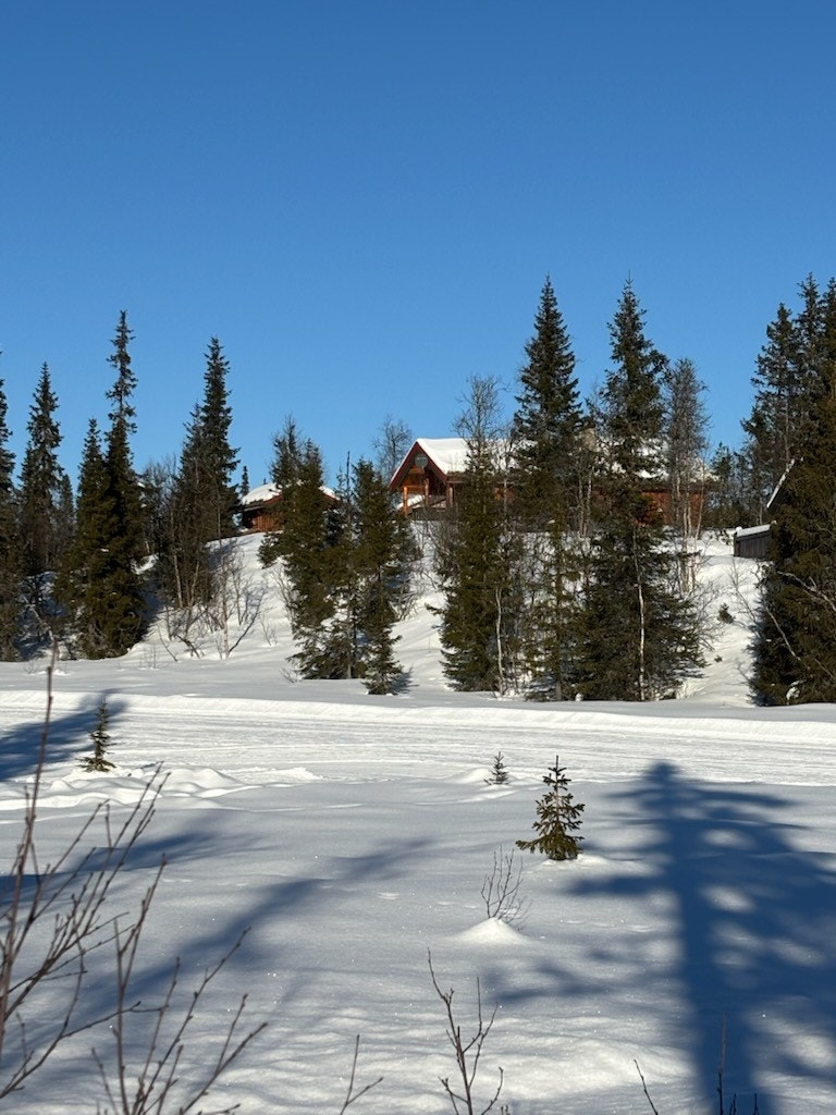 Skiløyper rett utenfor hytteveggen. Selgers private bilde. Galleribilde