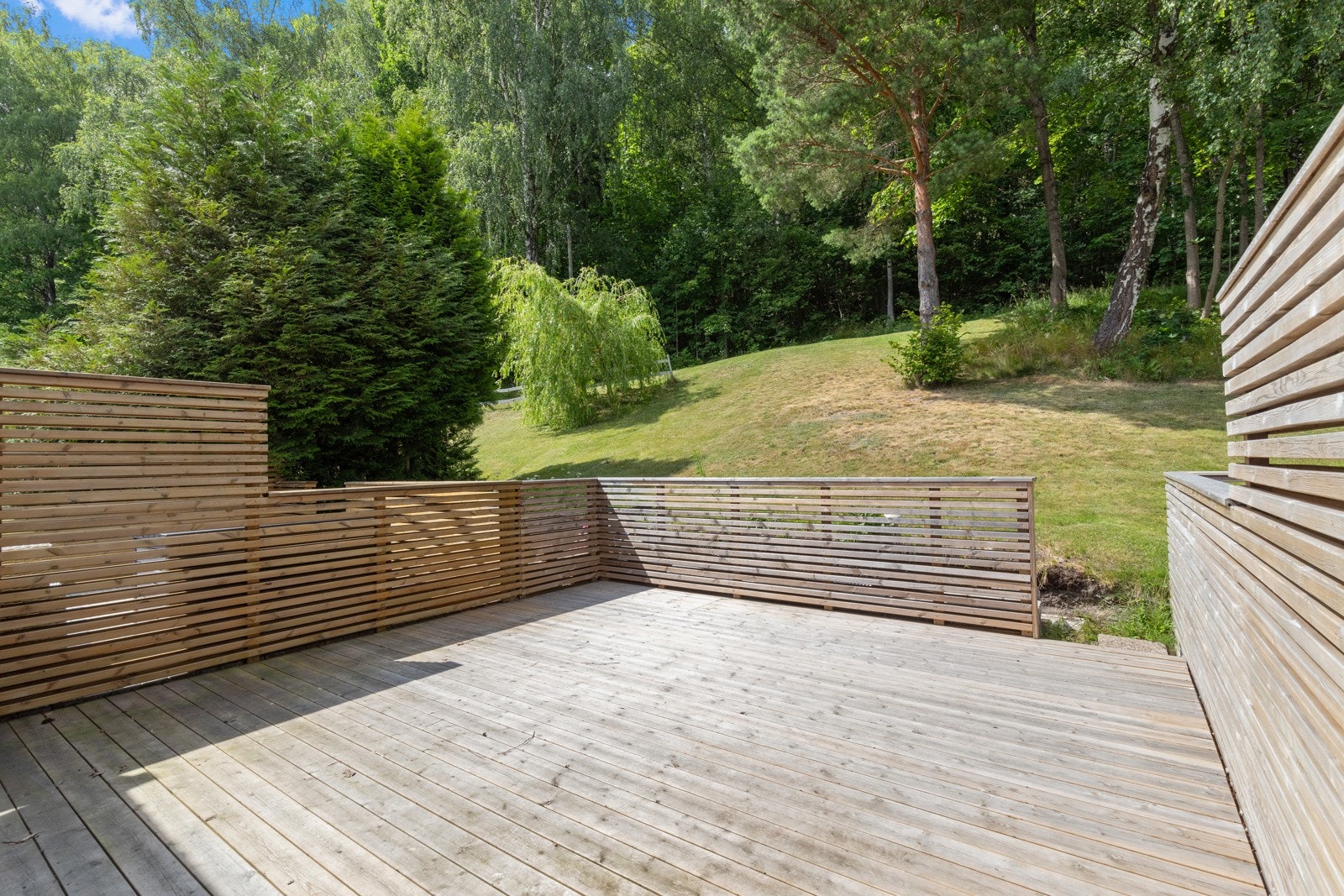 Herfra har man direkte tilgang til skog og mark. Galleribilde