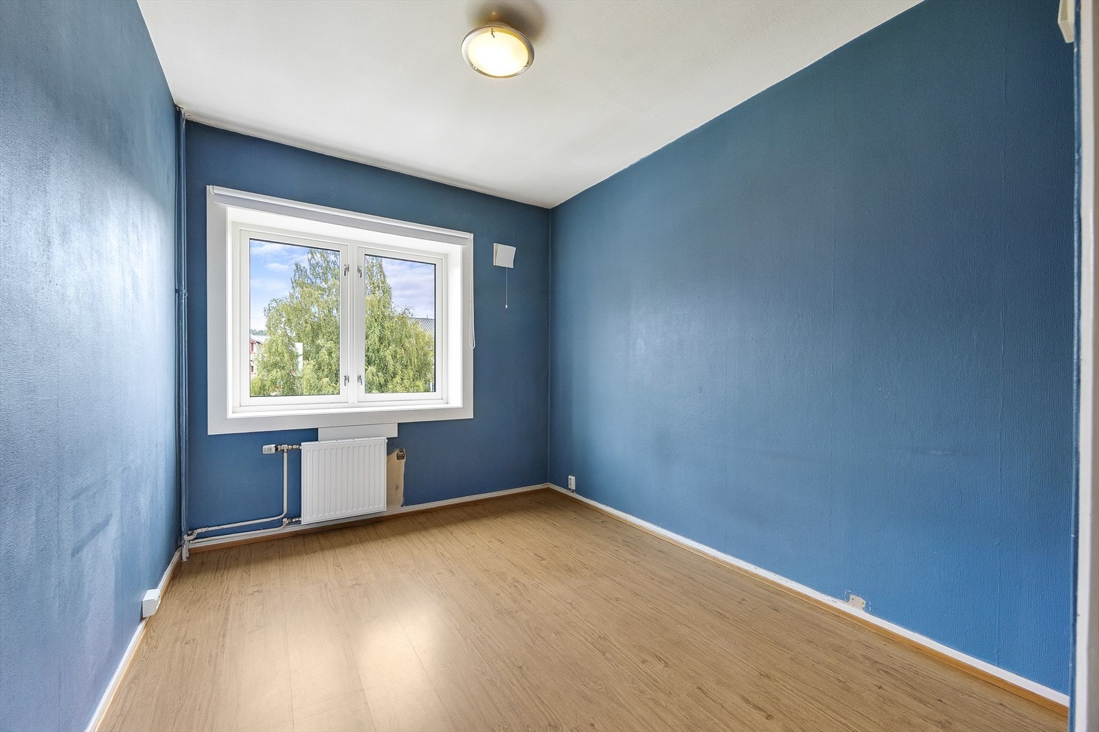 1M6A8012_V2.jpg Galleribilde