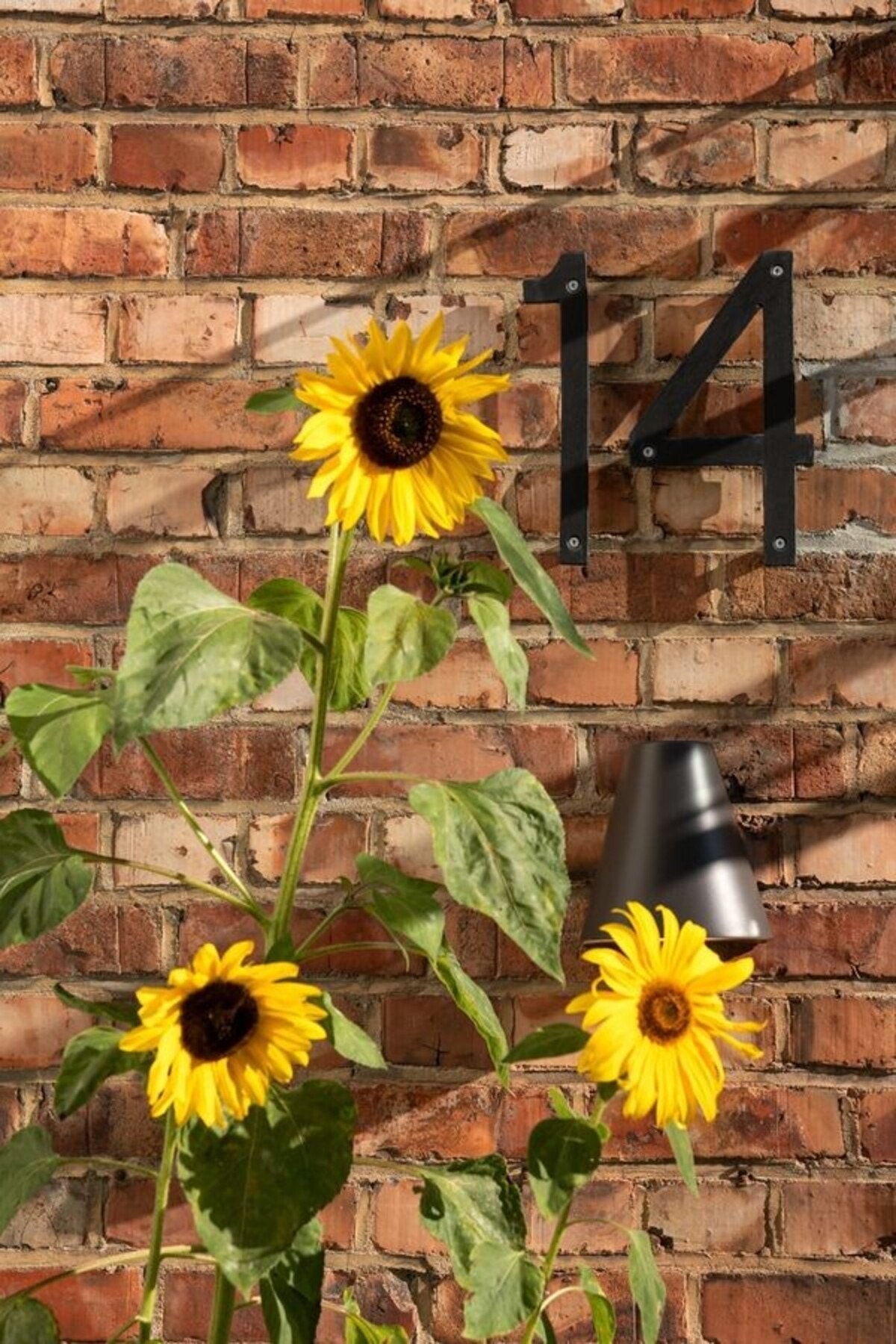 Hasleveien 14 - en unik perle i et populært område. Galleribilde