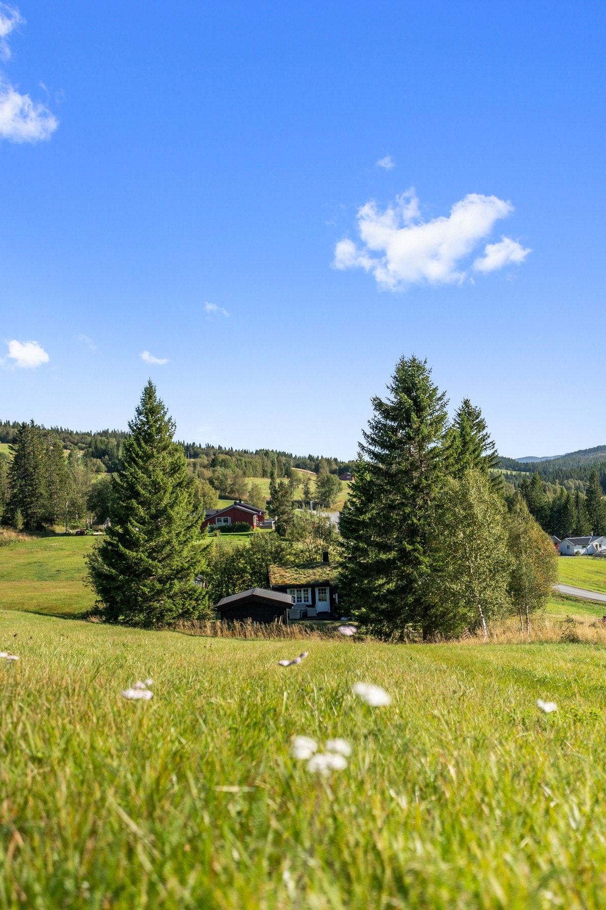 Velkommen til denne koselige Kjelstad-hytta fra 2008, bygget i tradisjonelt maskinlaft med torvtak. Galleribilde