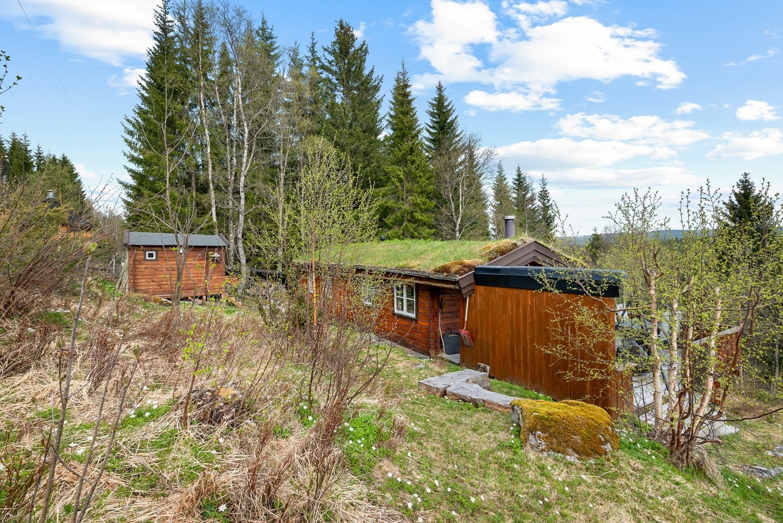 Velkommen til en hyggelig visning! Galleribilde