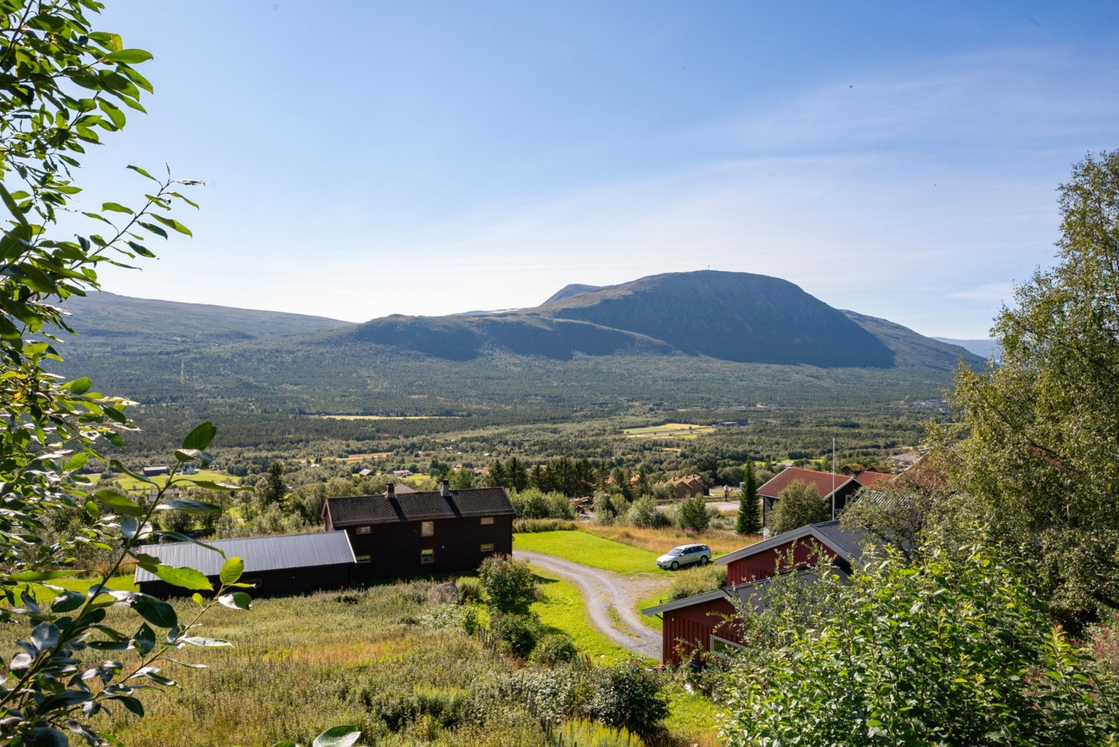 Utsikt ved inngangspartiet. Galleribilde