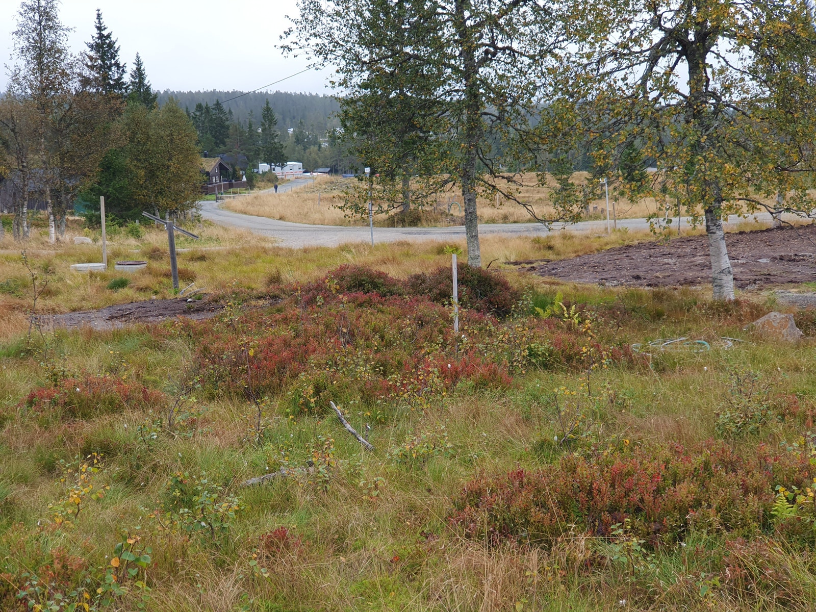 Tomtebilde mot sør/øst Galleribilde