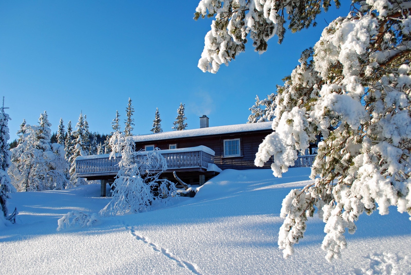 Selgers bilde fra vinterstid Galleribilde
