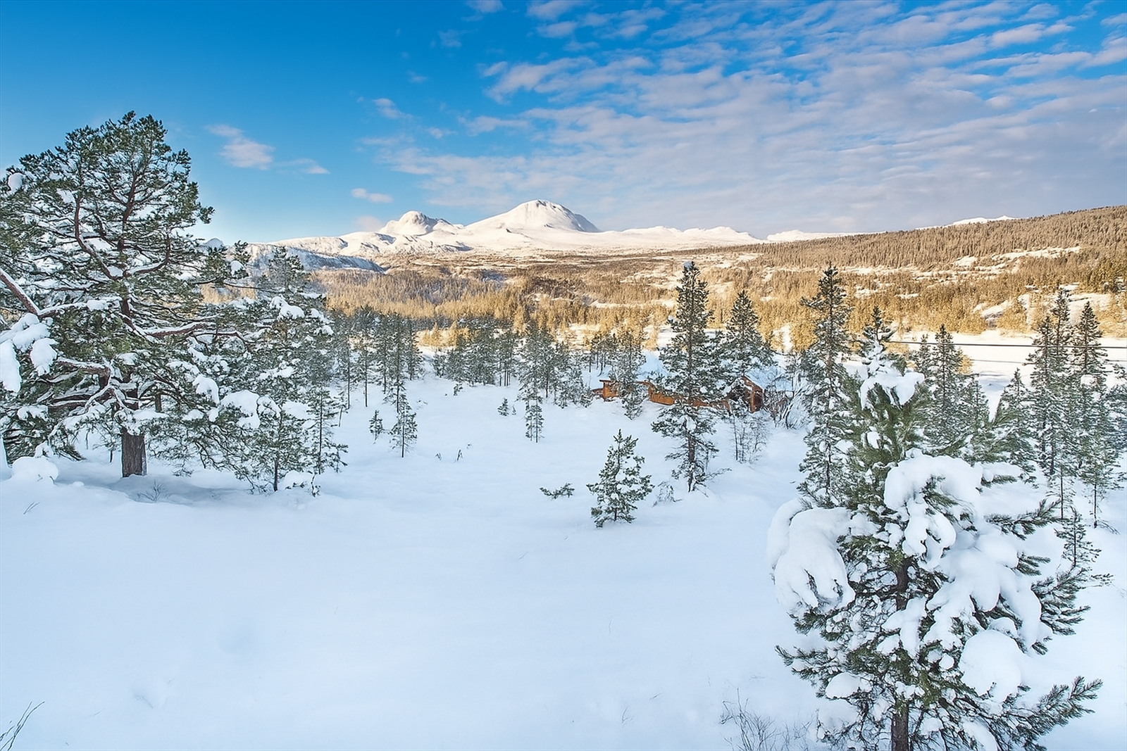 Fin utsikt til Gaustaknea! Galleribilde