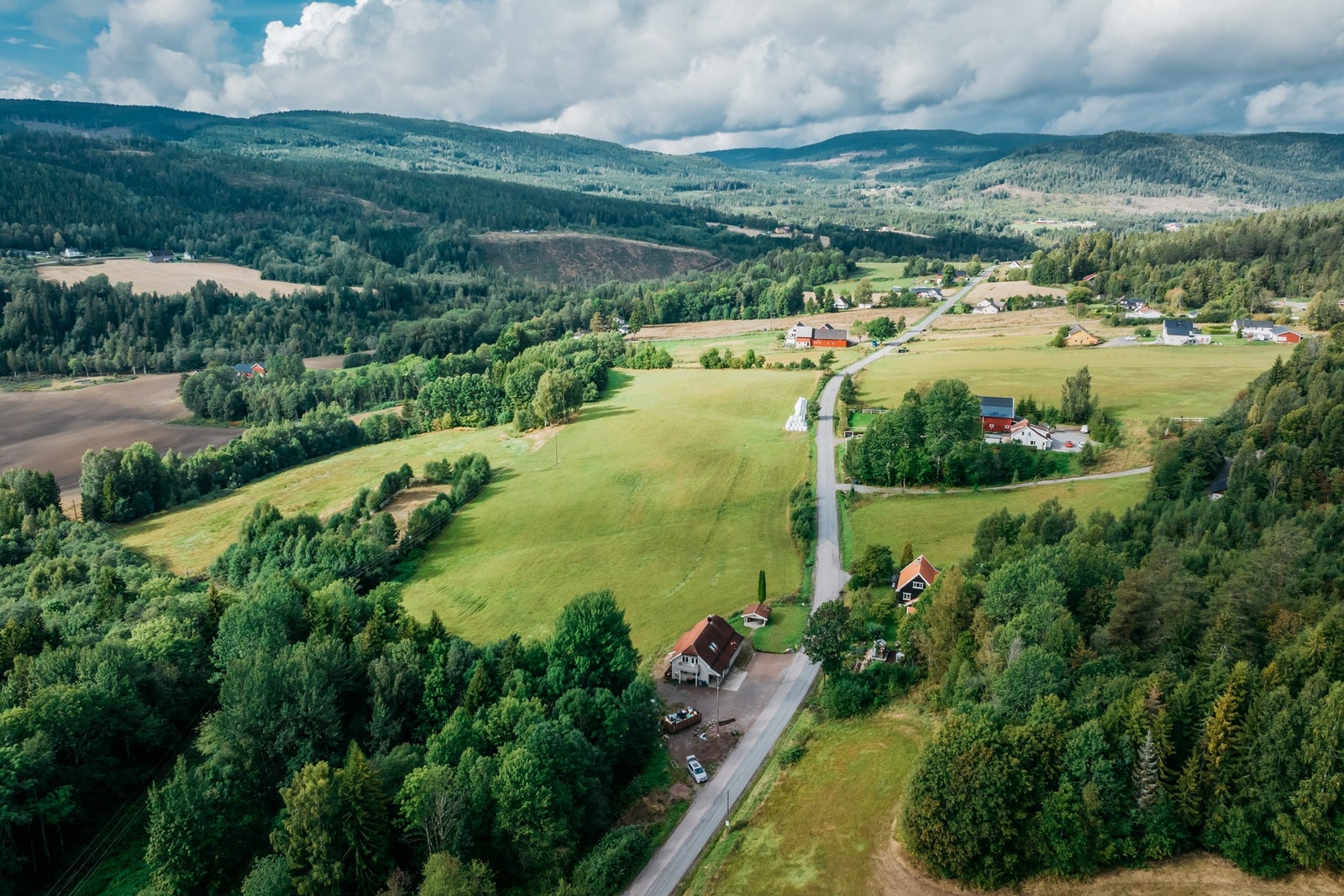 Velkommen til en hyggelig visning! Galleribilde
