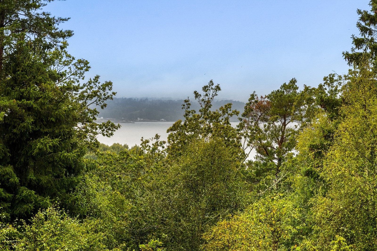 Utsikten - Zoomet inn Galleribilde
