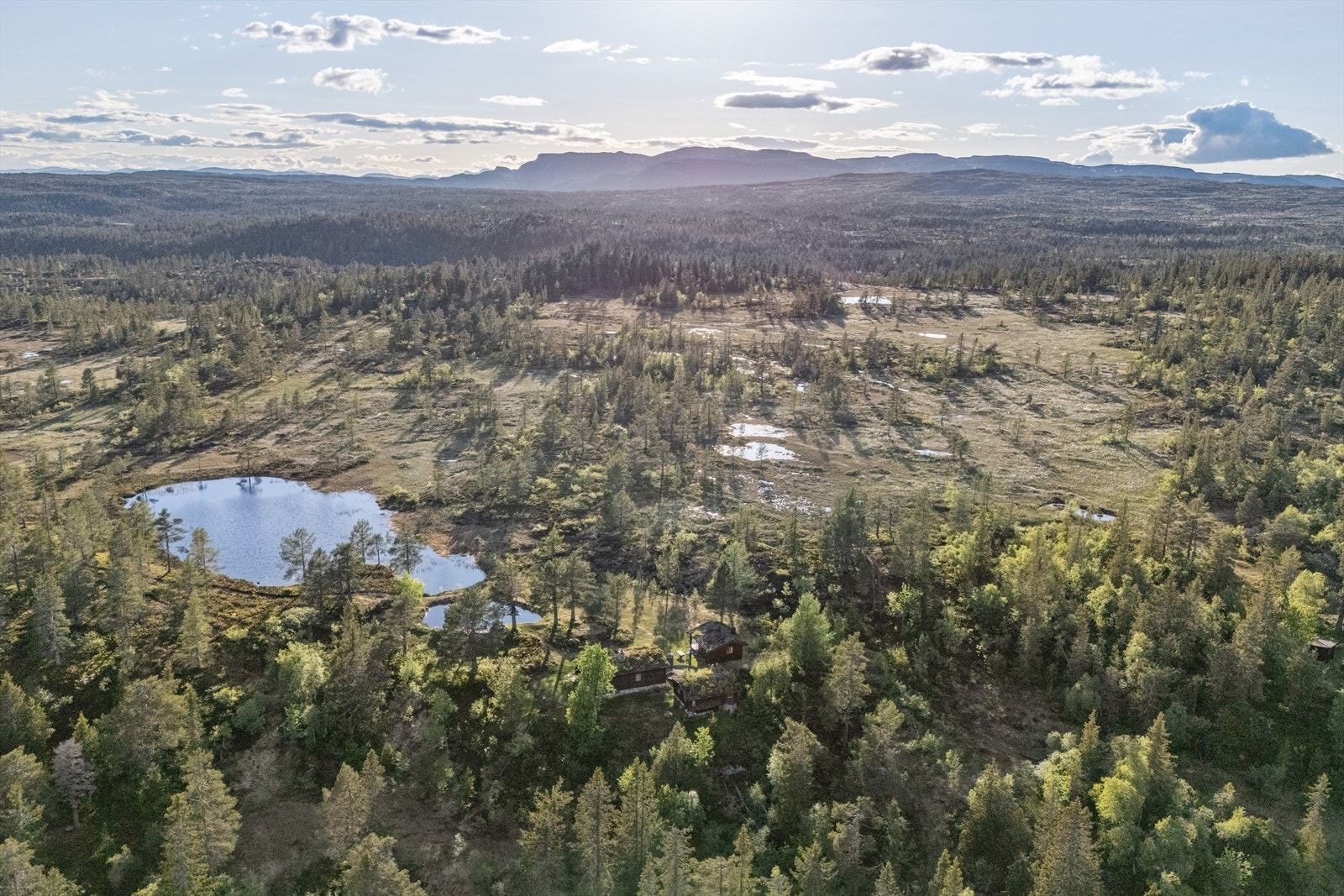 Oversiktsbilde mot vest Galleribilde