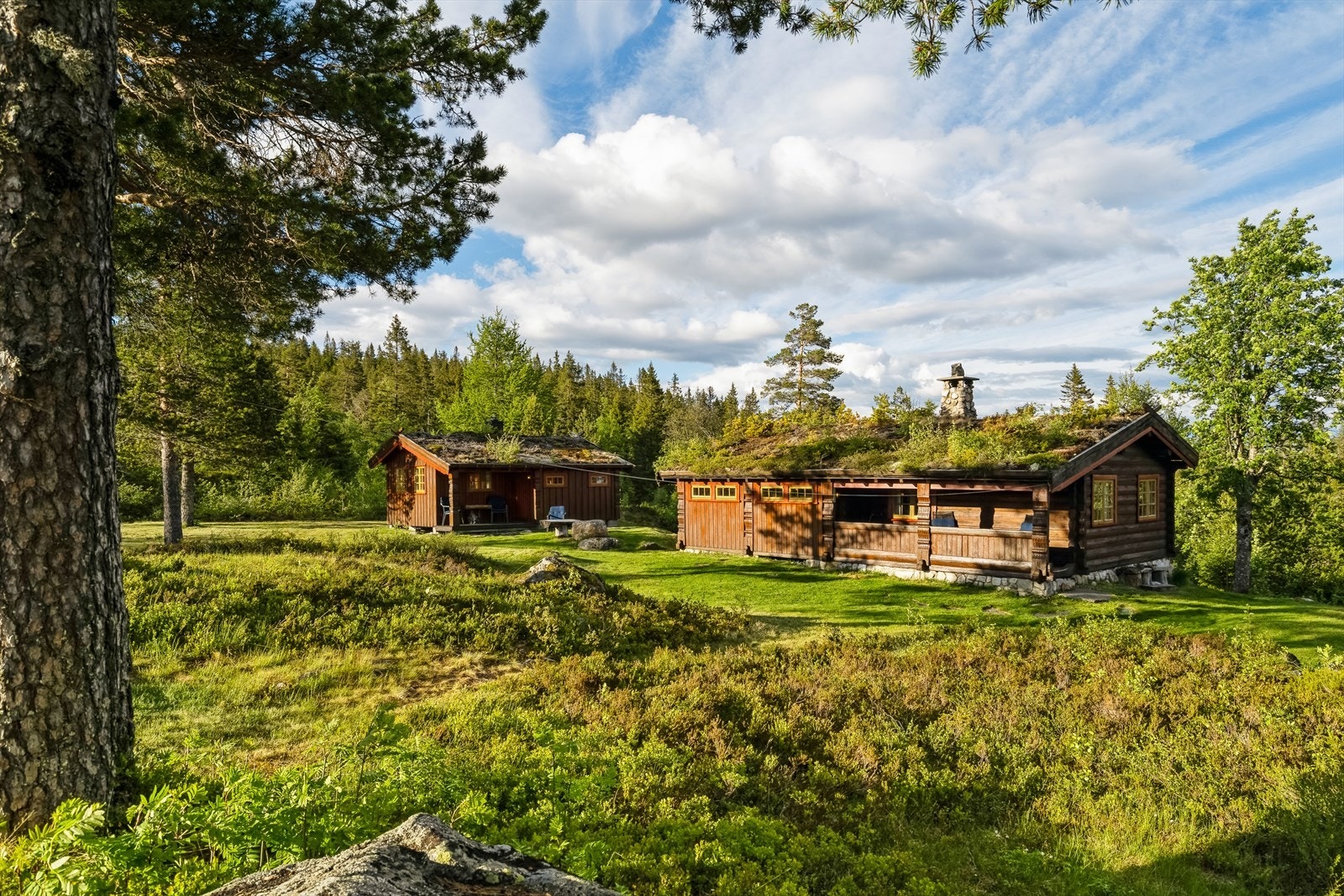 Velkommen til Buenveien 2451! Galleribilde