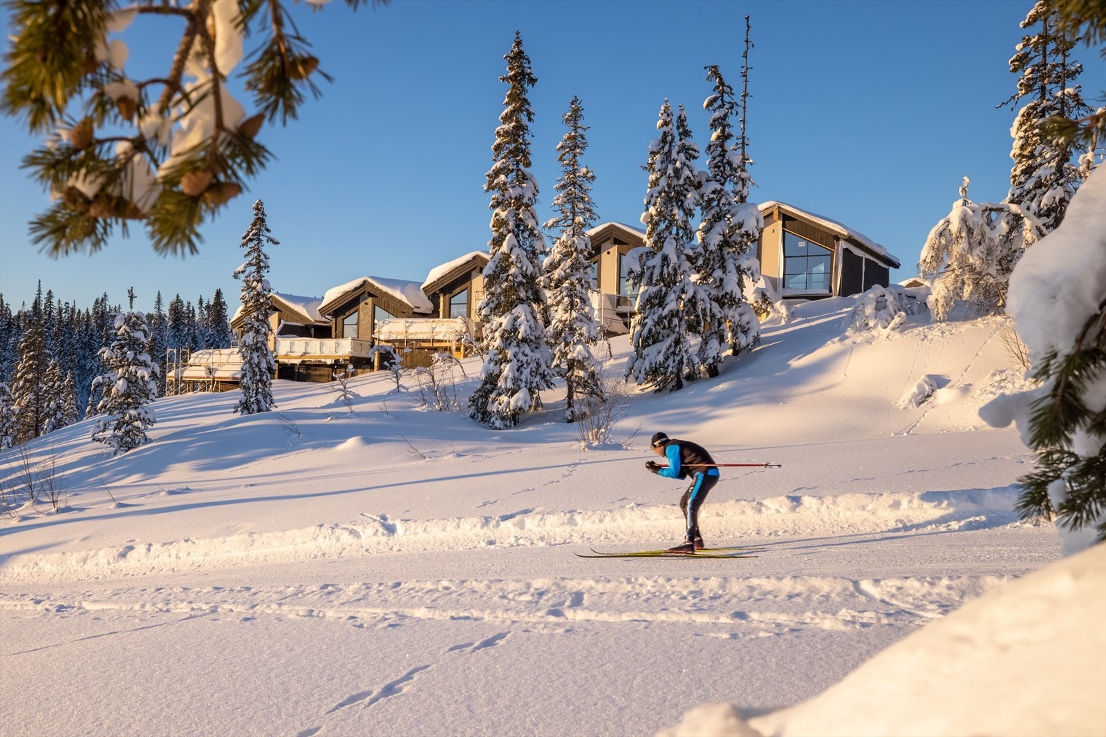 Langrennsløypene er rett utenfor døren. Galleribilde