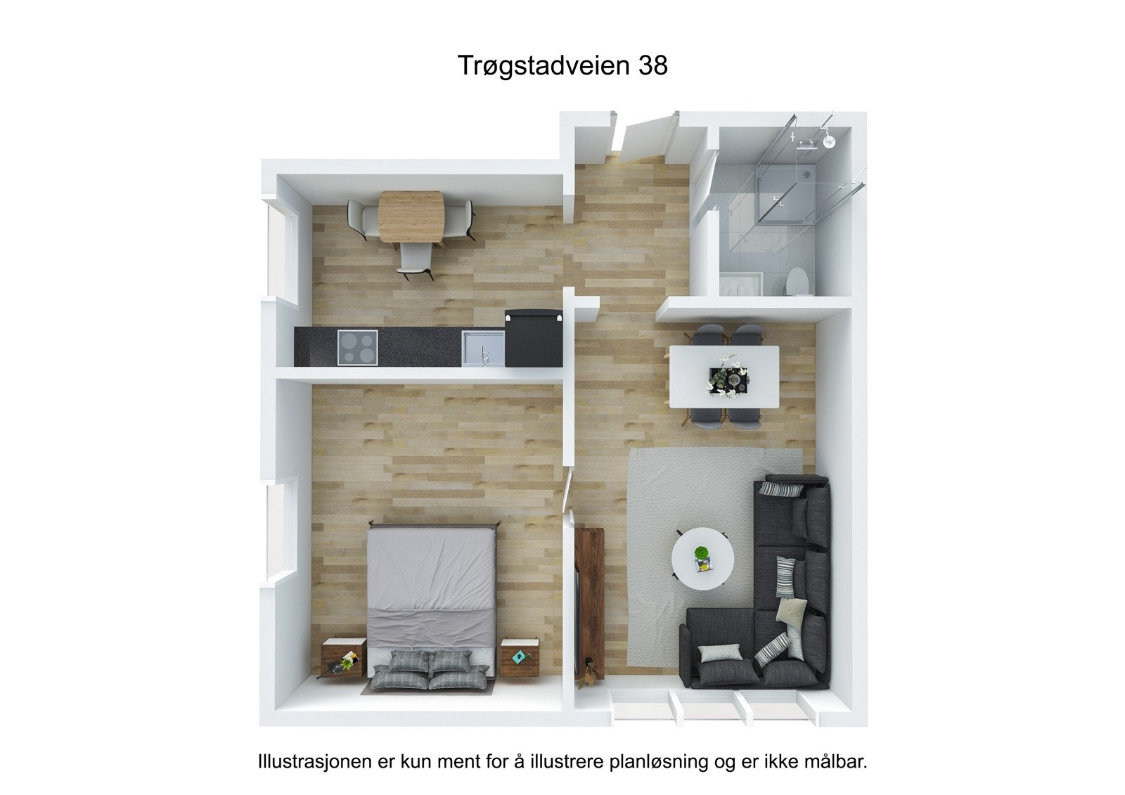 Planskisse Galleribilde