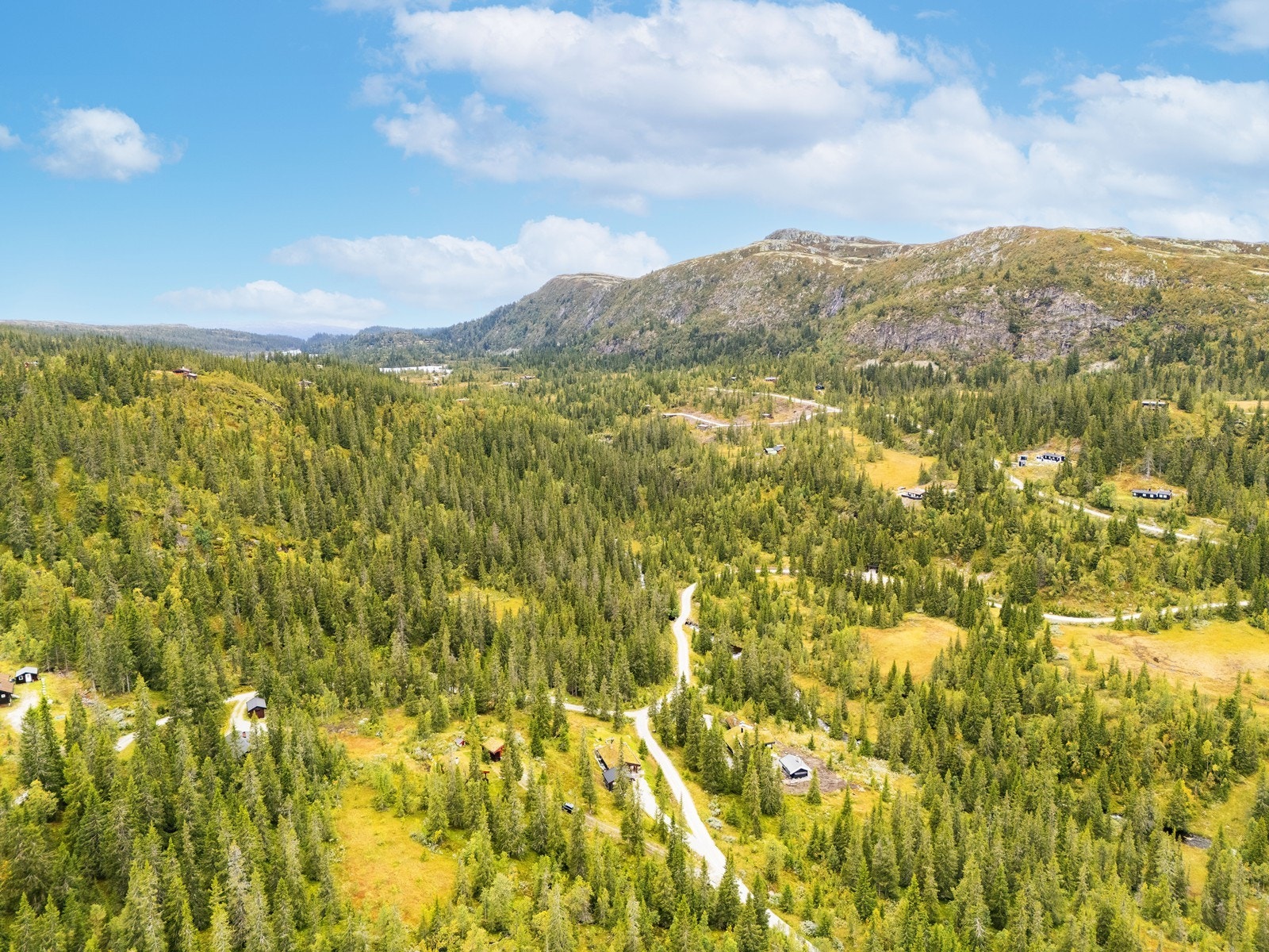 Velkommen til en hyggelig visning! Galleribilde