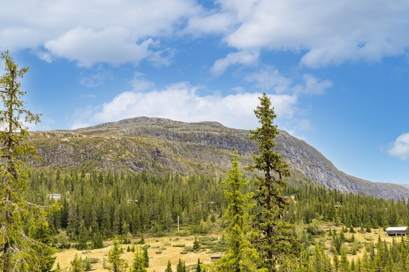 Her har man fin utsikt mot Haglebunatten og fjellene rundt. Galleribilde