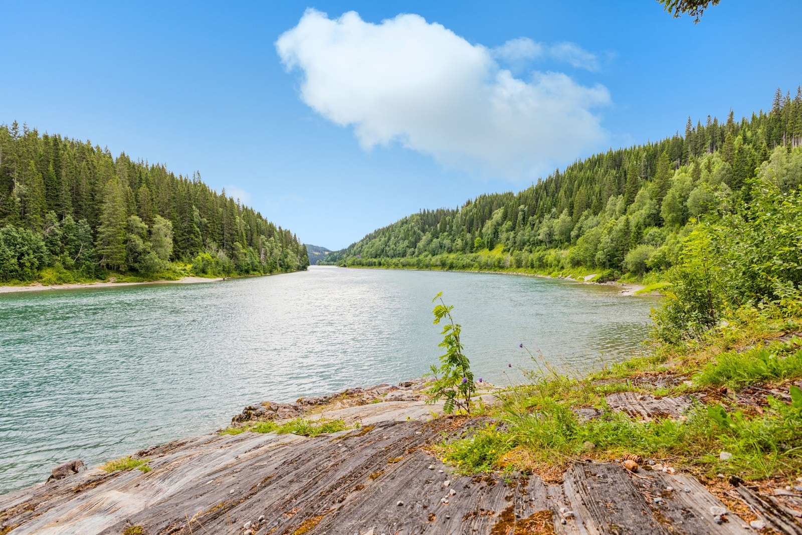 Nærområdet byr på rå natur og fine utfluktsområder for både rekreasjon, fiske og jakt (med lisens). Galleribilde