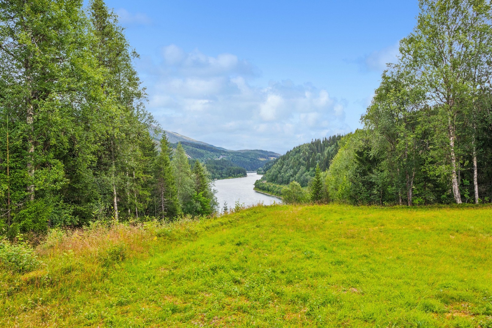 Utsikt fra hagen, mot sør. Galleribilde