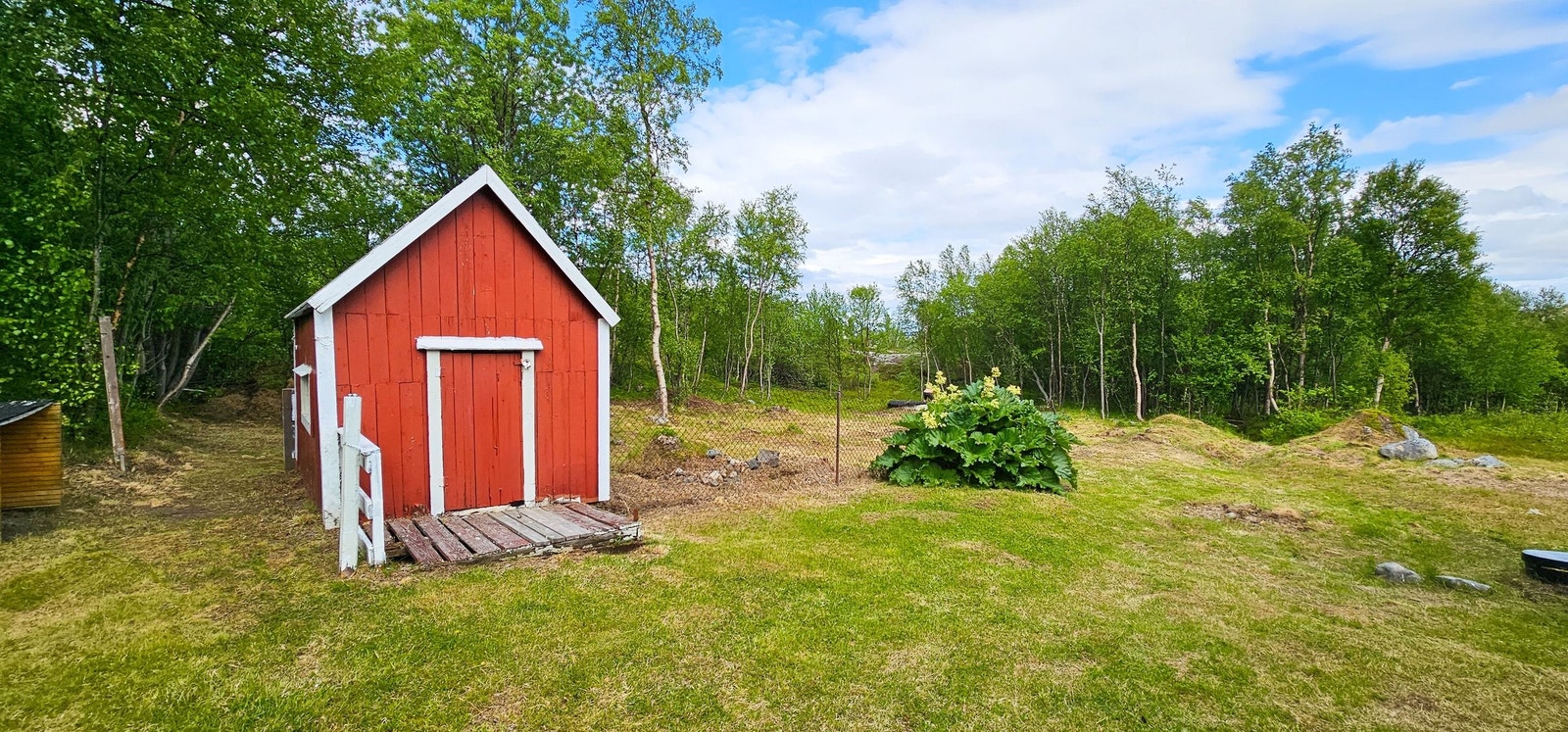 Dukkestue og rabarbra Galleribilde