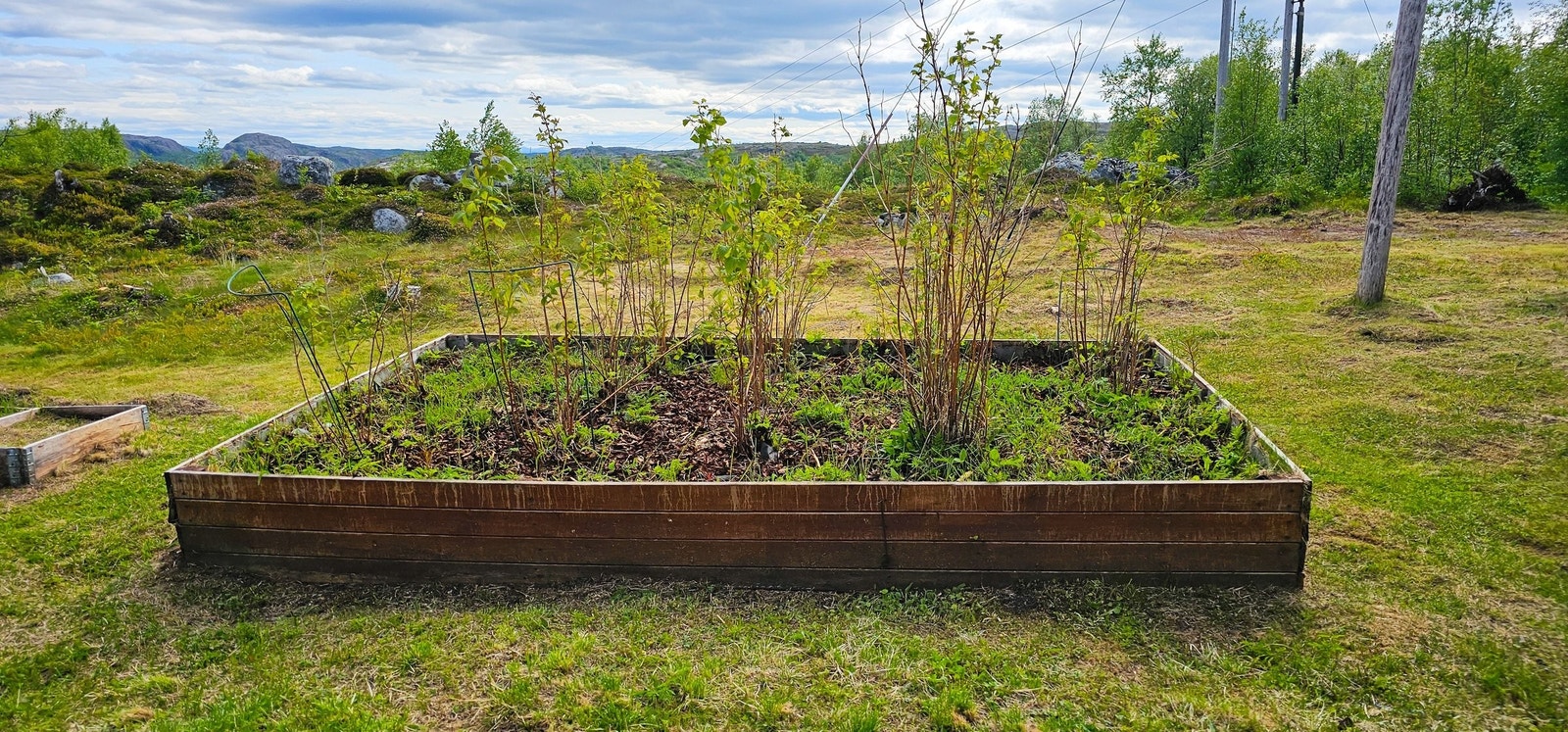 Bringebærhage Galleribilde