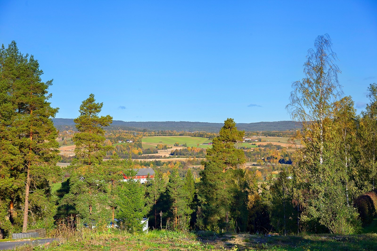 Det er hyggelig utsikt fra tomten. Galleribilde