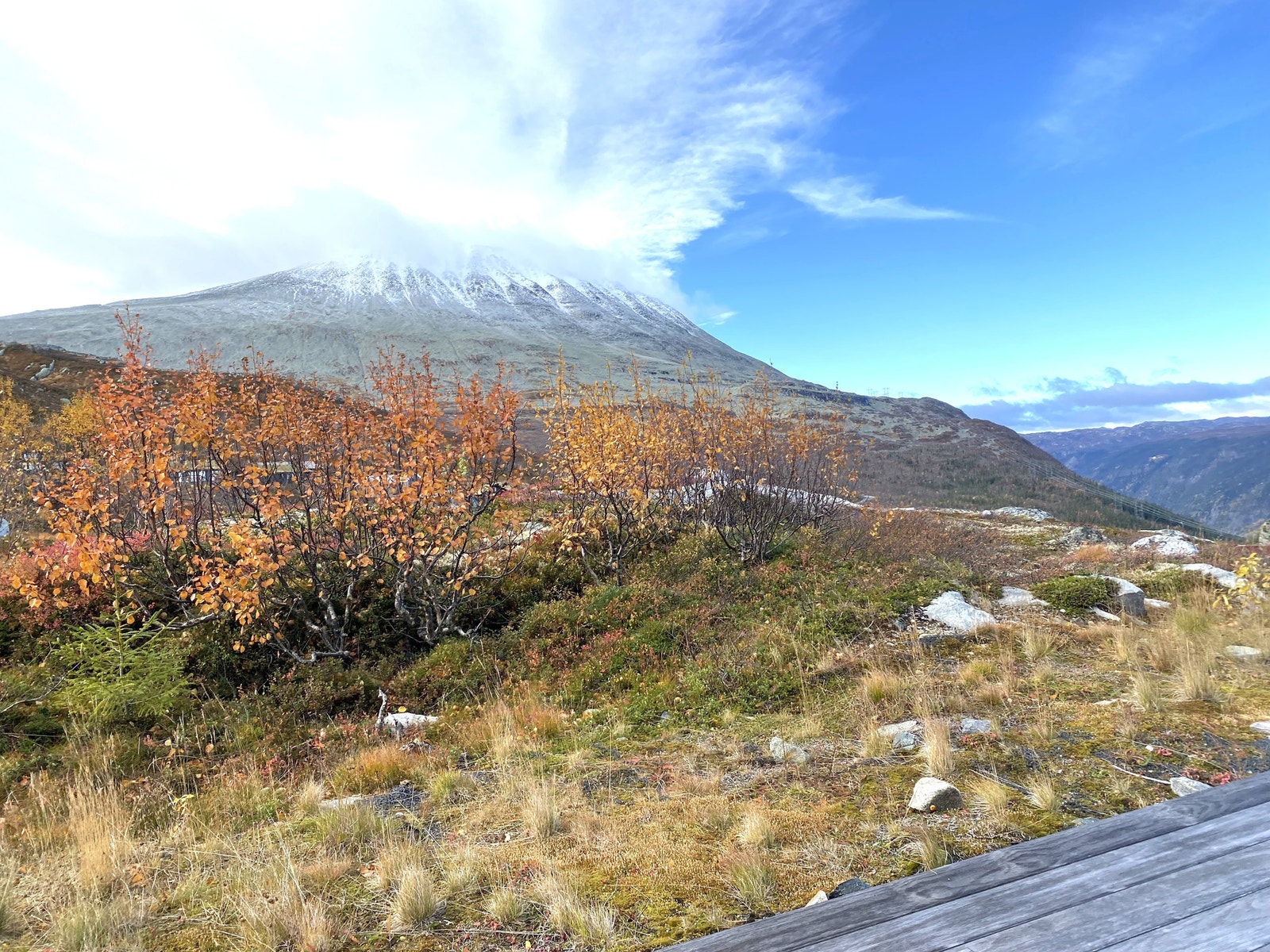 Høst i fjellet Galleribilde