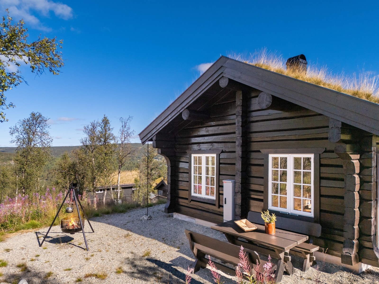 Nyt ettermiddagssolen ute ved bålpannen Galleribilde