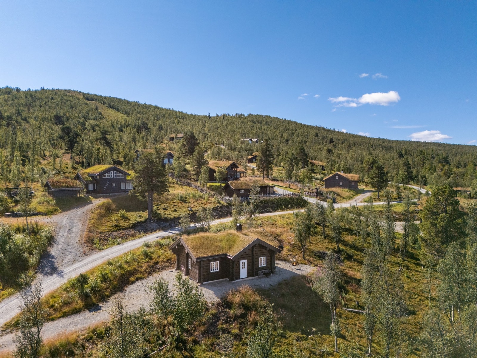 Ski inn/ut alpint og langrenn Galleribilde