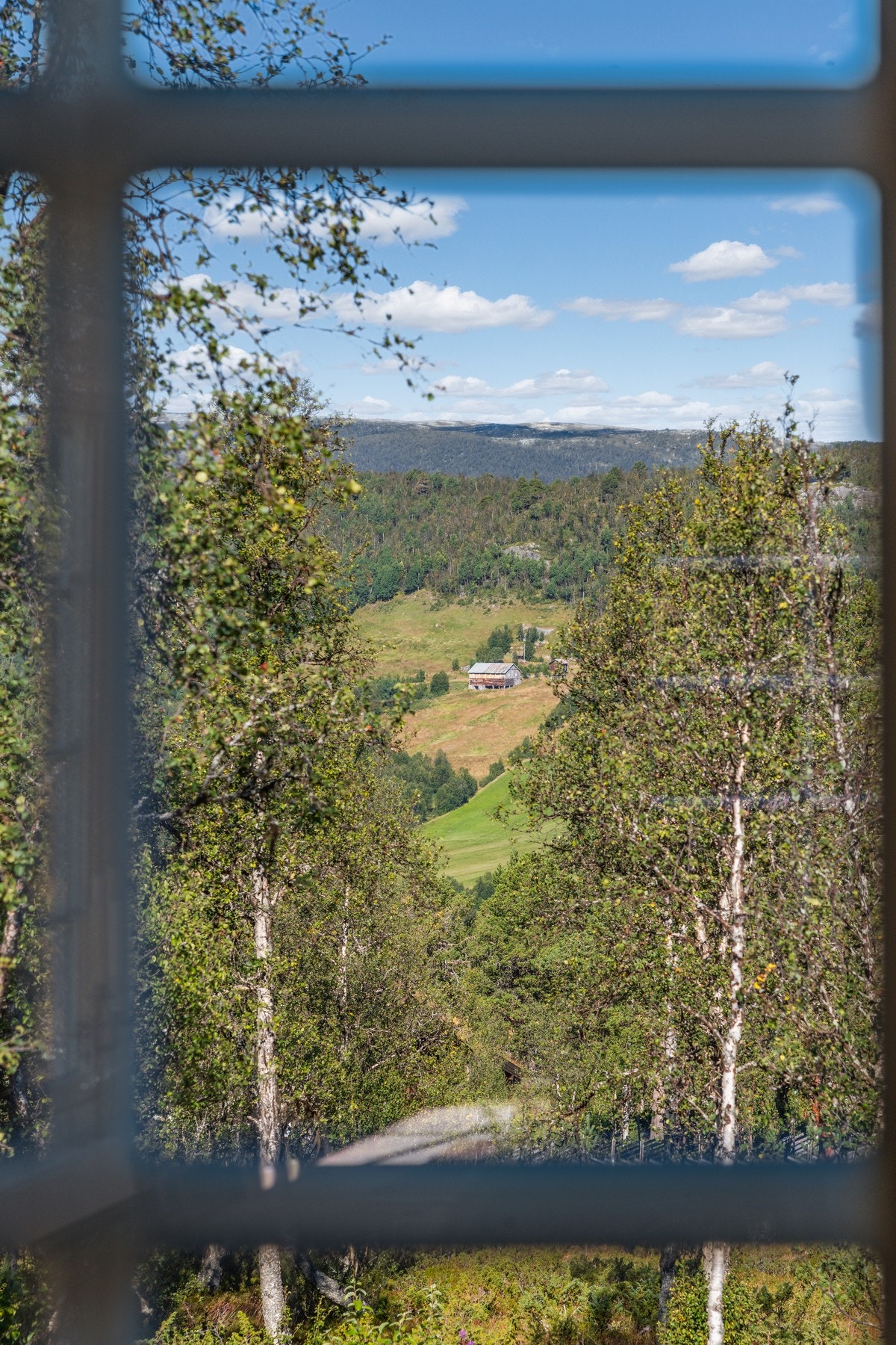 Idylliske omgivelser omkranser hytten Galleribilde