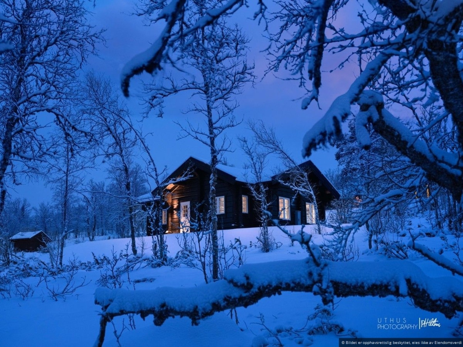 Winterwonderland. Galleribilde