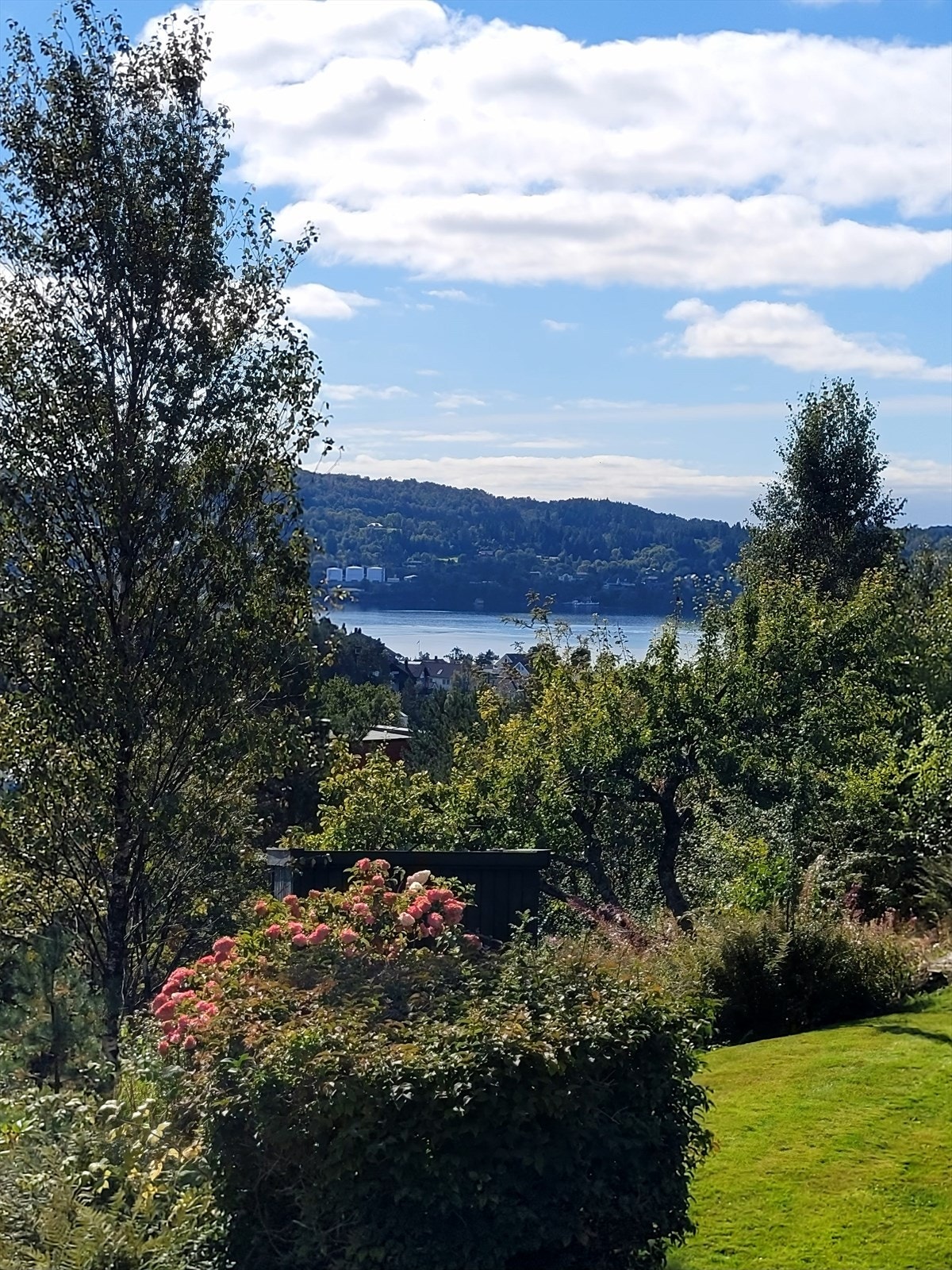 Her bor du tett på naturen med herlig utsikt mot Bjørndalsvannet. Galleribilde