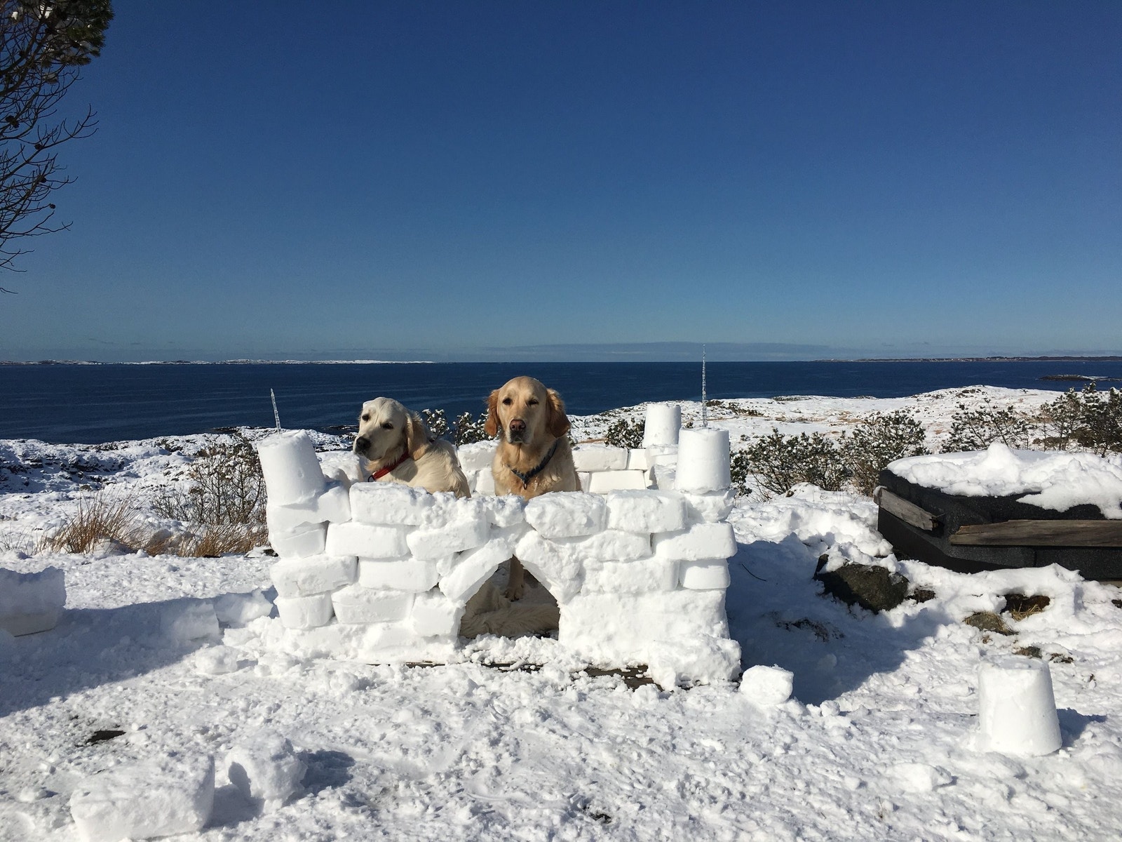 Påsketurister Galleribilde