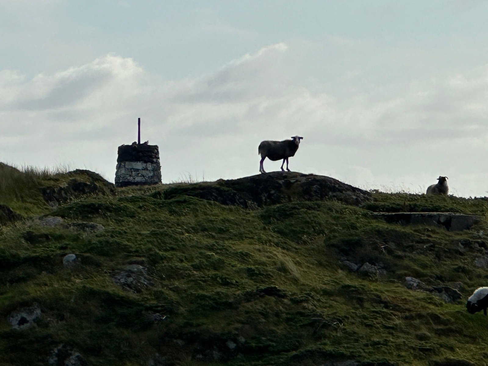 En av gartnerne:-) Galleribilde