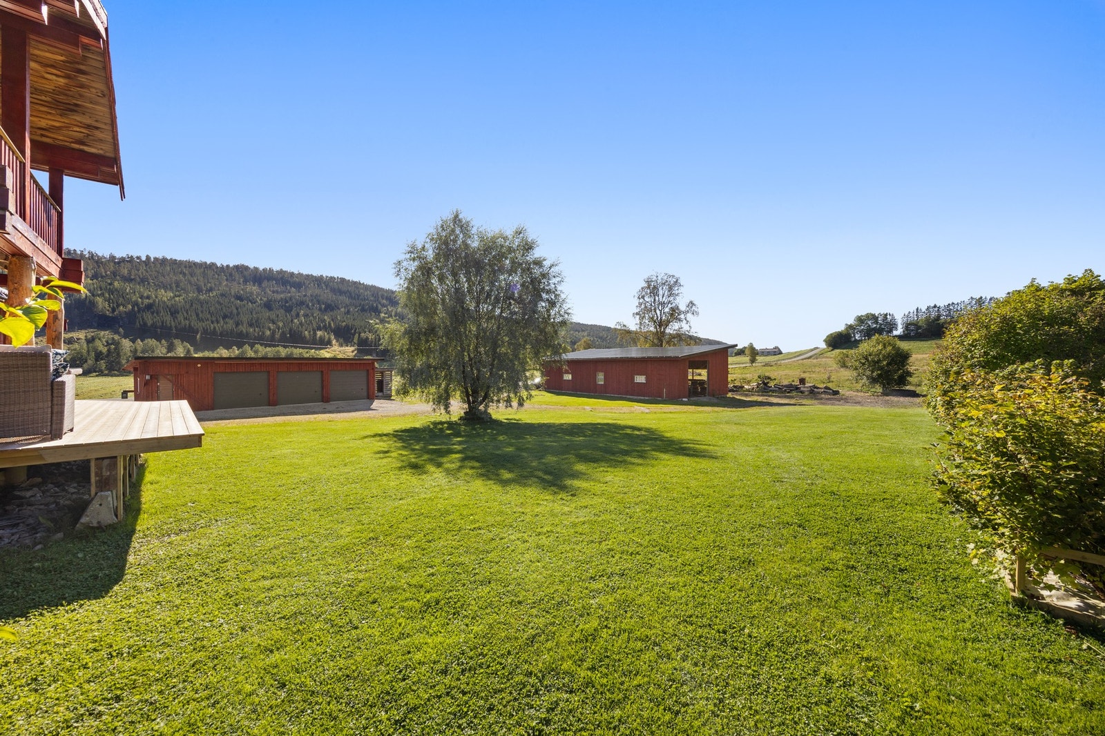 Plenlagt areal som er beplantet med trær og busker Galleribilde