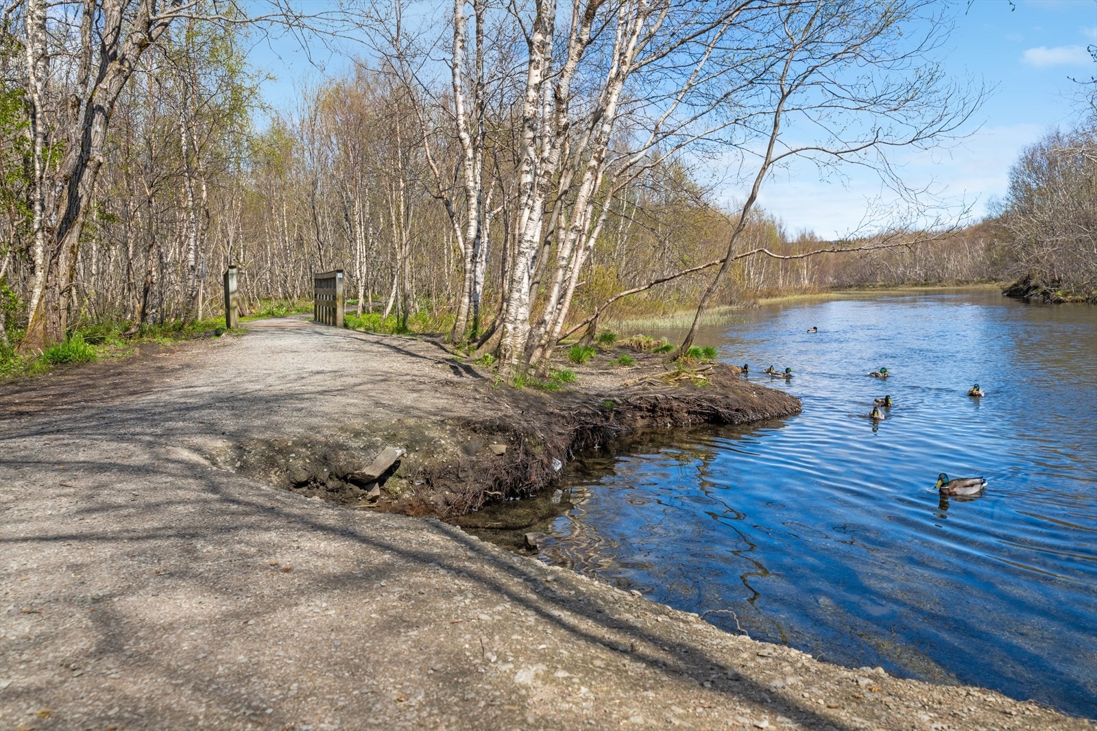 Flotte Futelva ligger innenfor gangavstand. Galleribilde