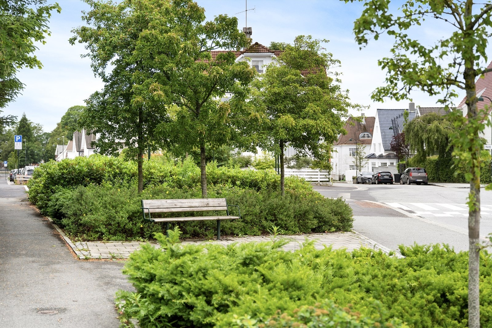 - En grønn lunge like utenfor ytterdøren - Galleribilde